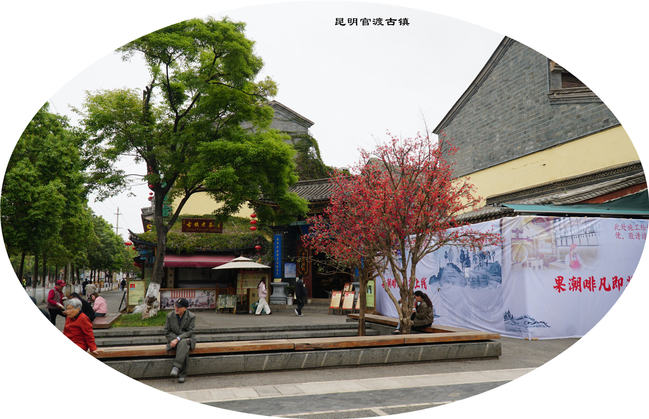 DSC05876.jpg