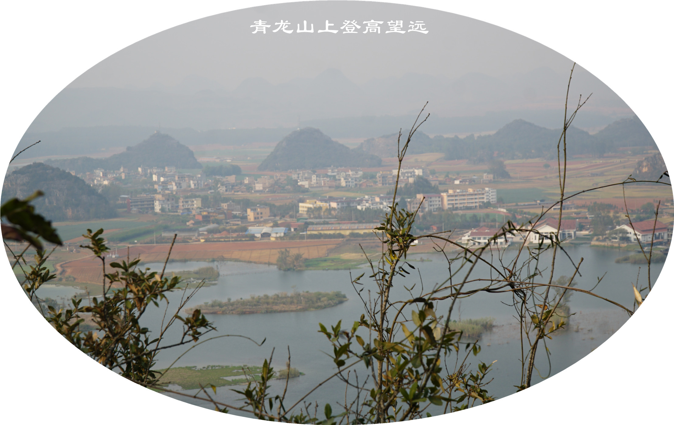 DSC05941.jpg