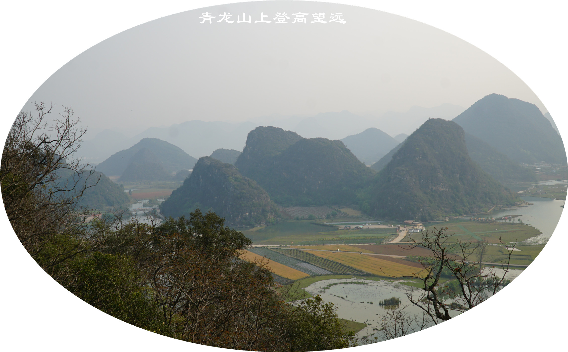 DSC05942.jpg