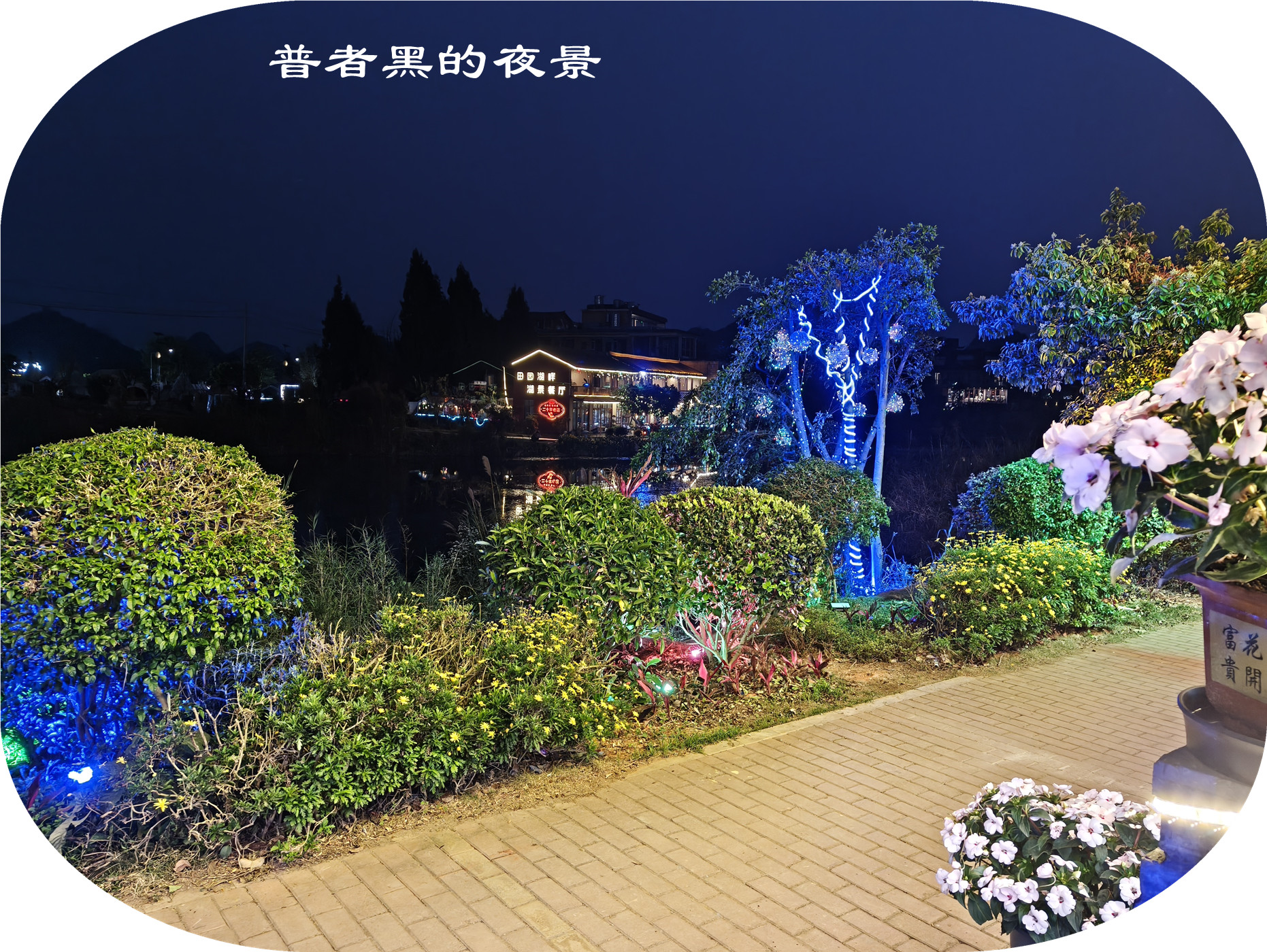 IMG20250403194329.jpg