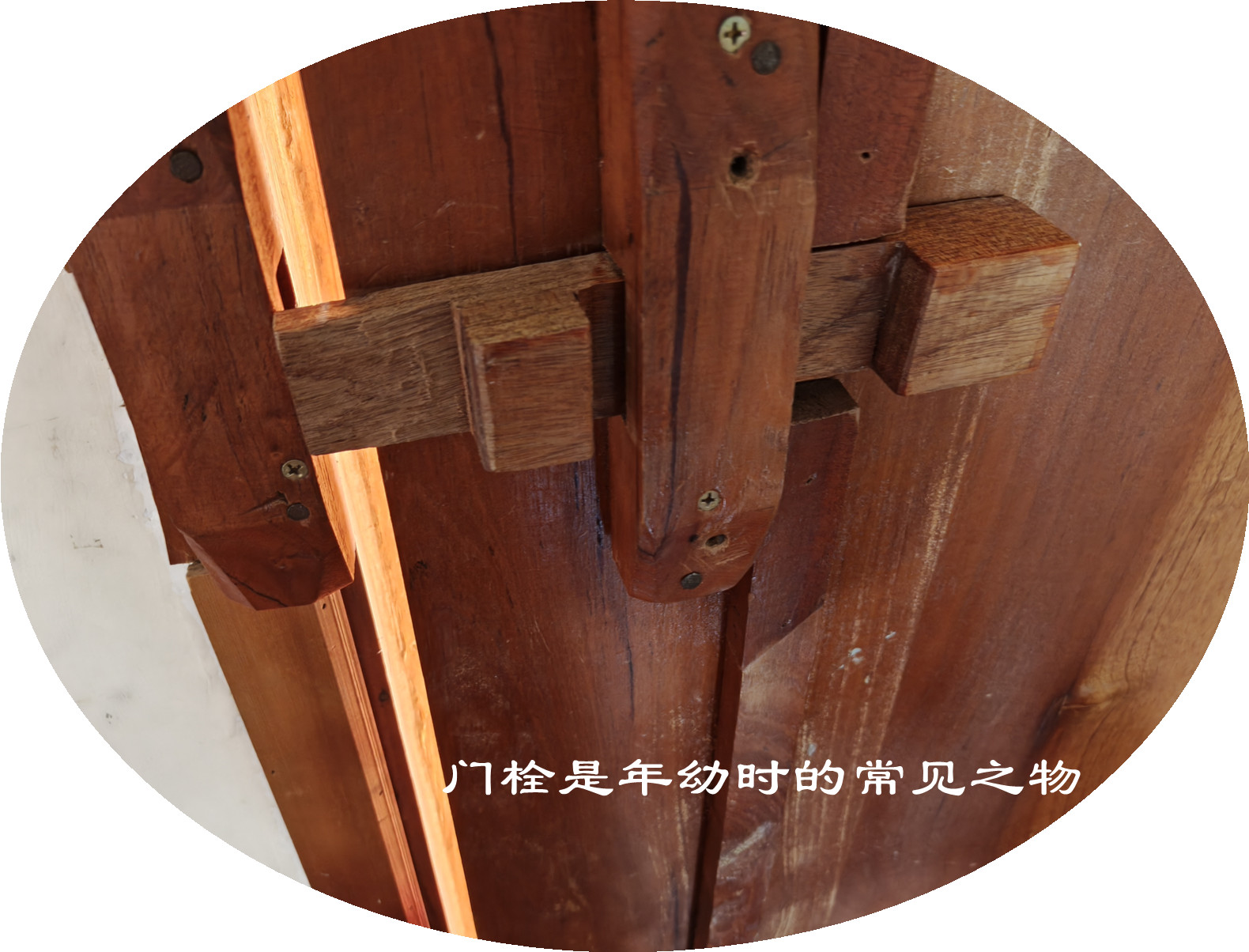 IMG20250404152420.jpg
