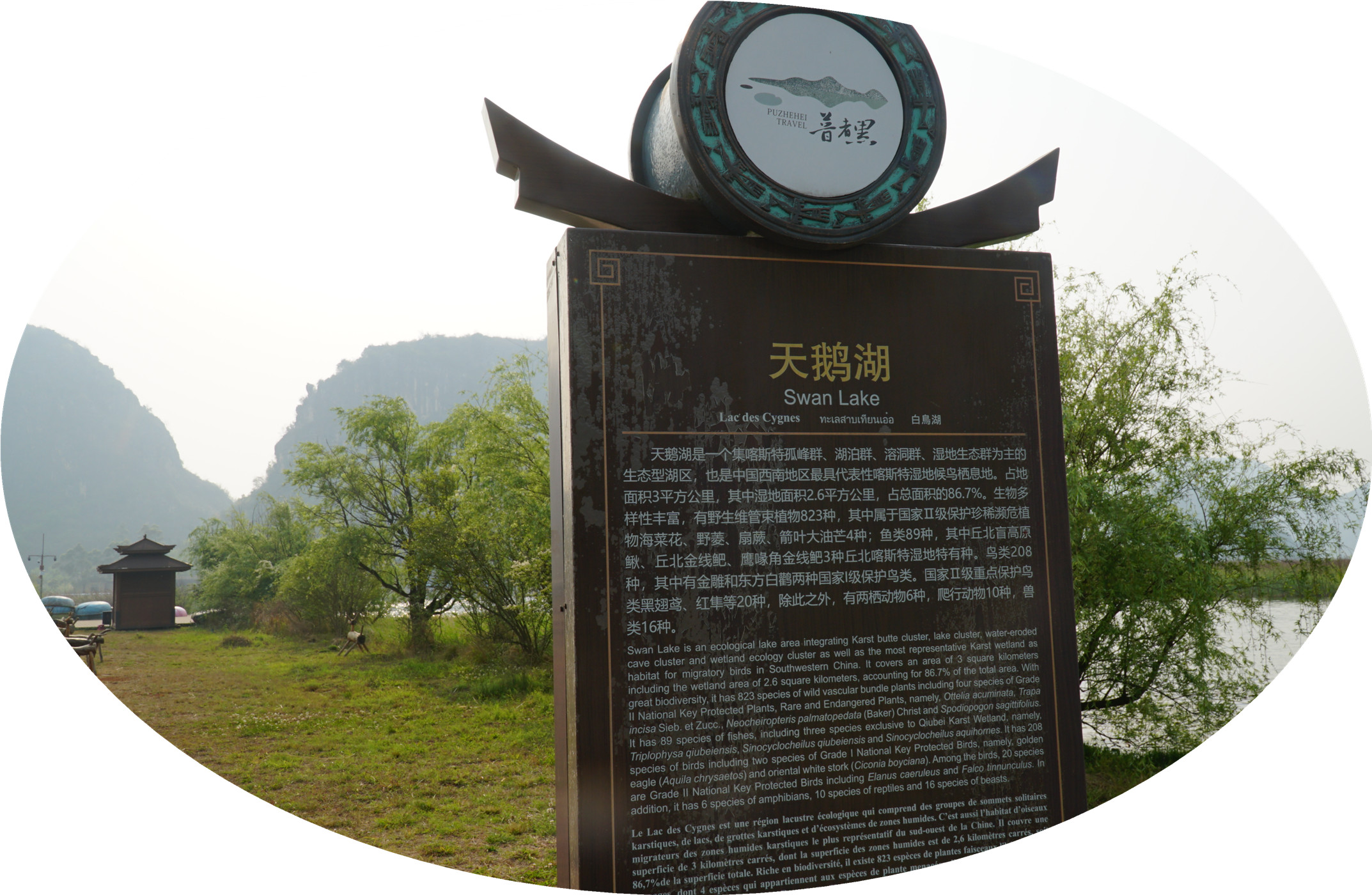DSC05982.jpg