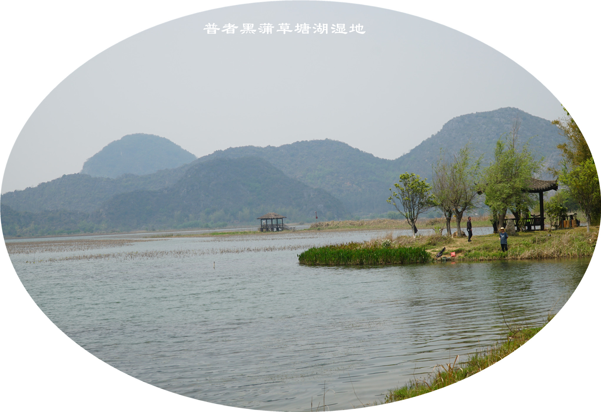 DSC06050.jpg