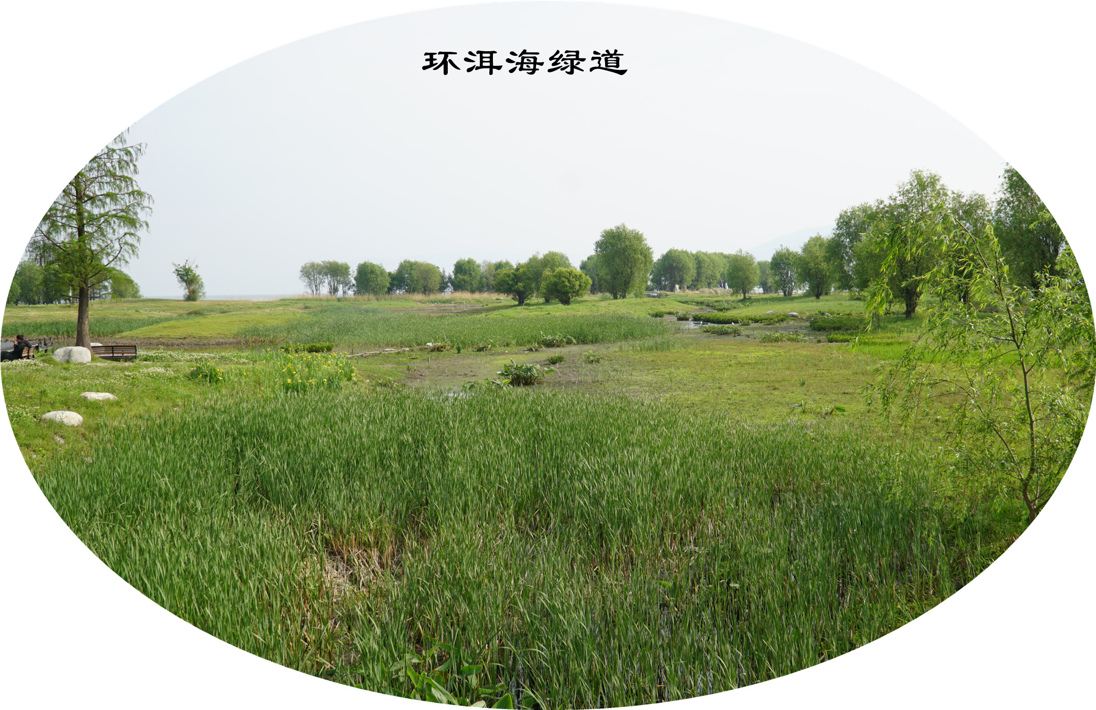DSC06207.jpg