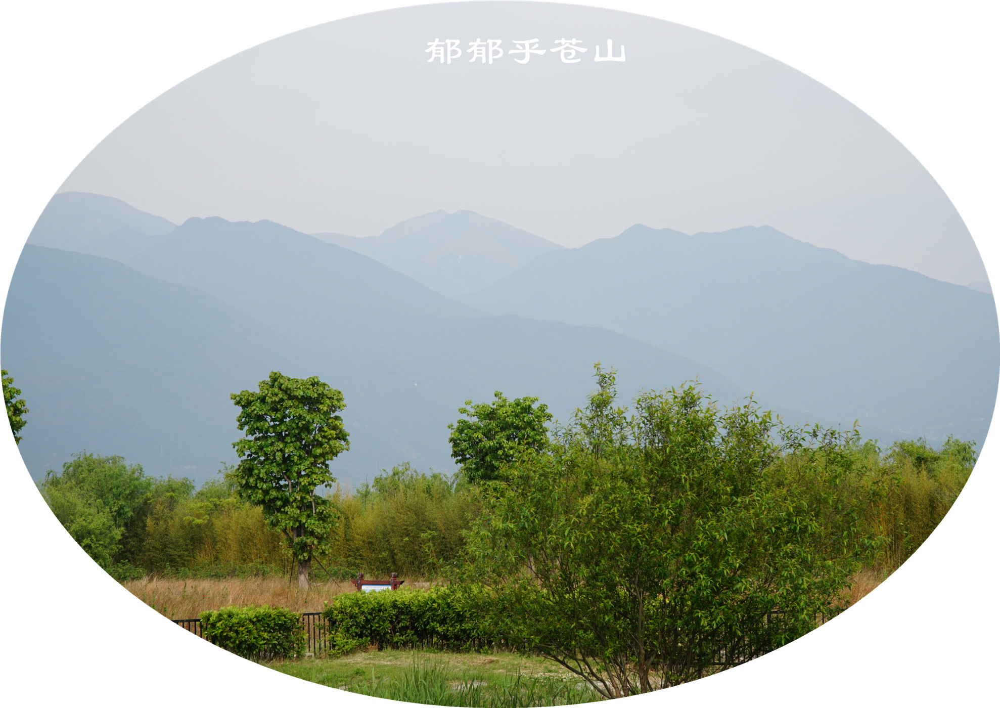 DSC06217.jpg