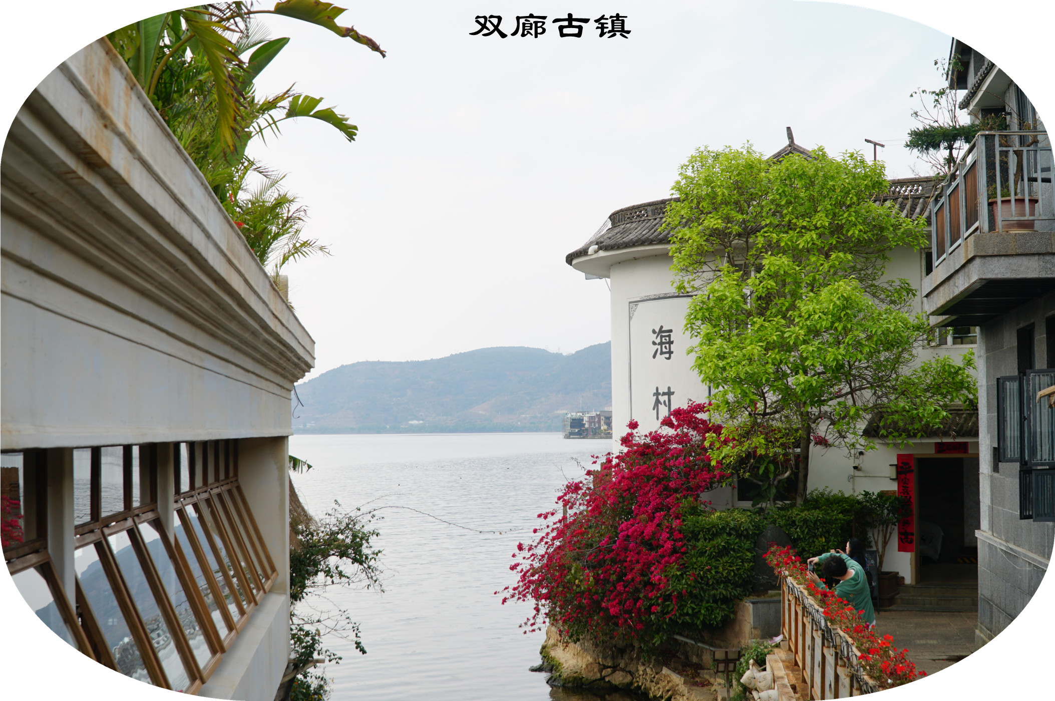 DSC06306.jpg