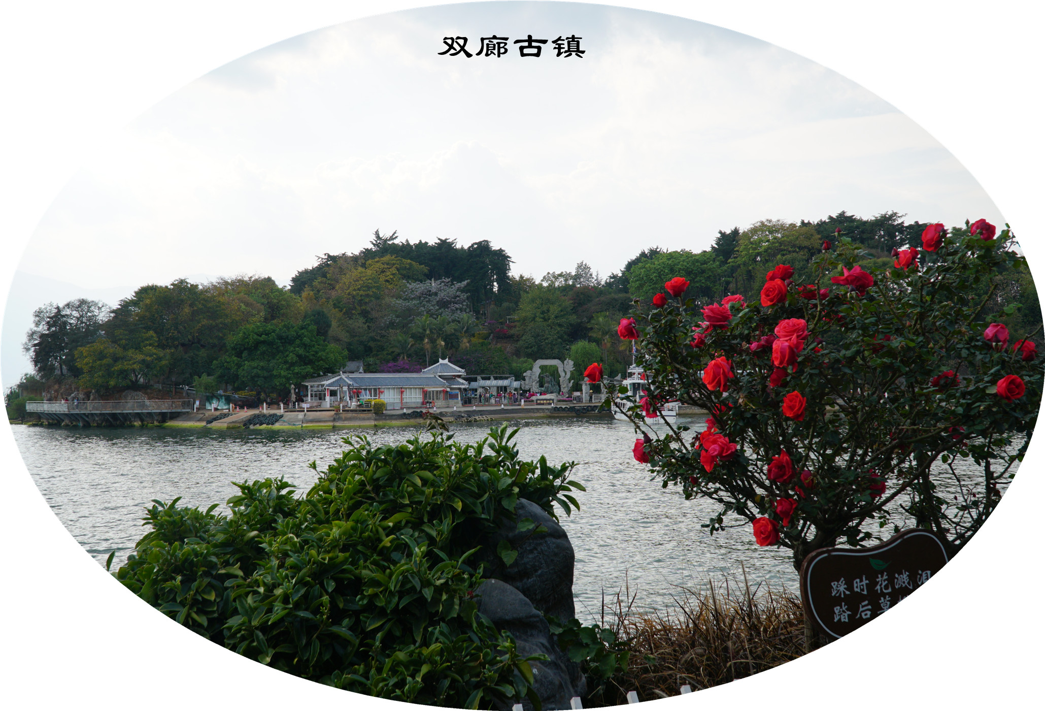 DSC06322.jpg