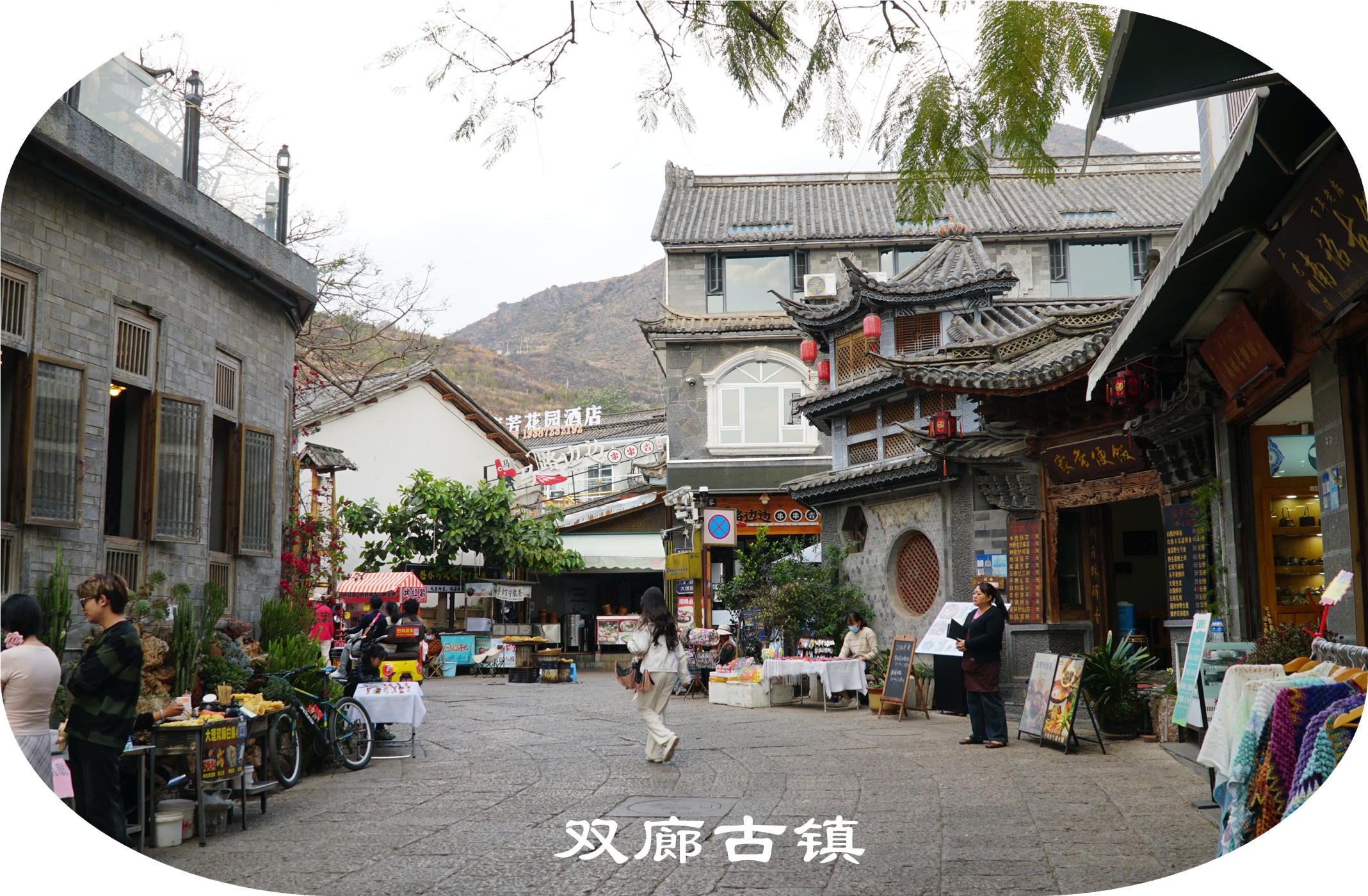 DSC06327.jpg
