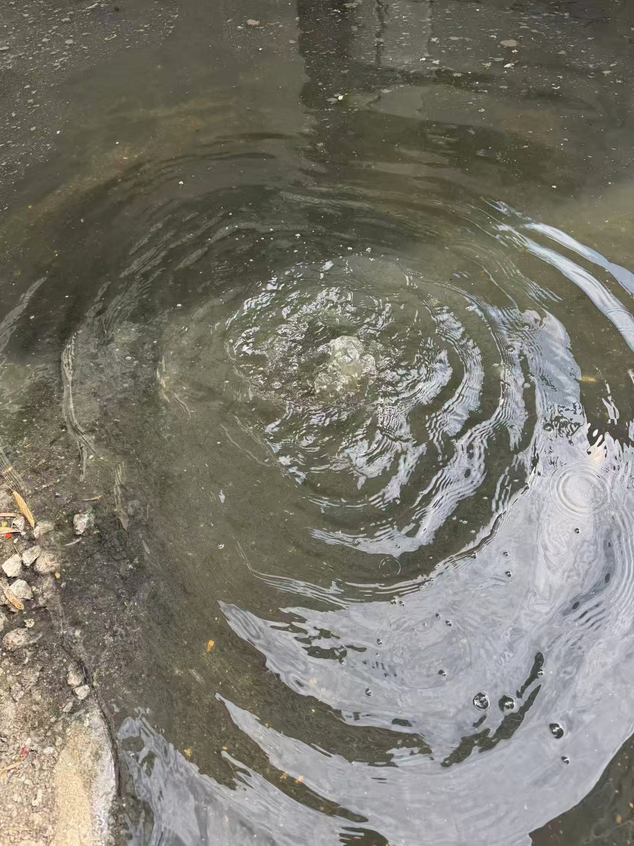 臭水喷泉