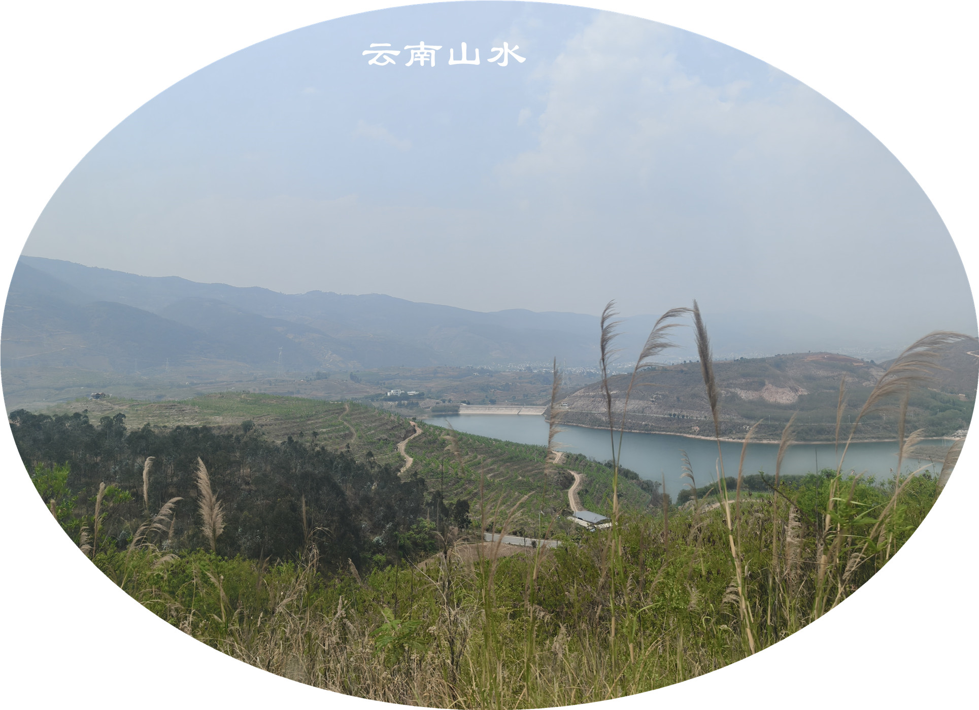IMG20250409133621.jpg