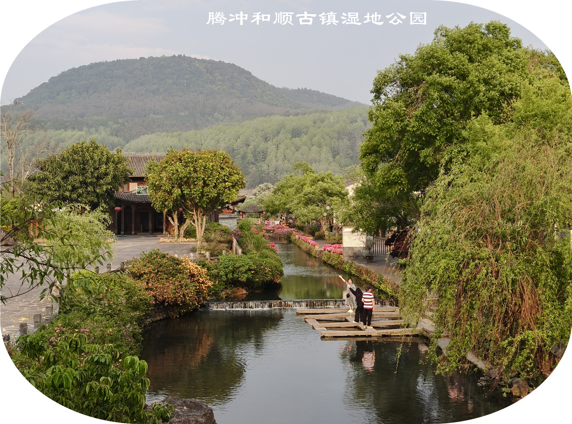 IMG20250409181337.jpg