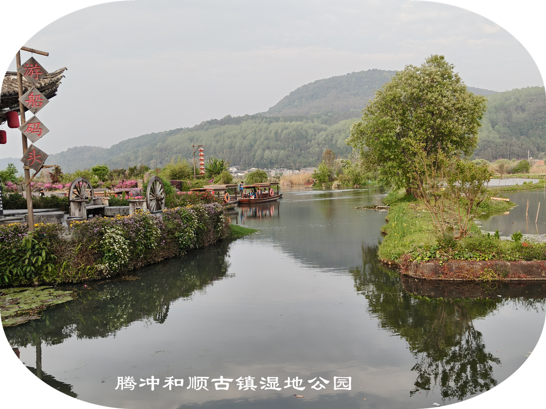 IMG20250409182524.jpg