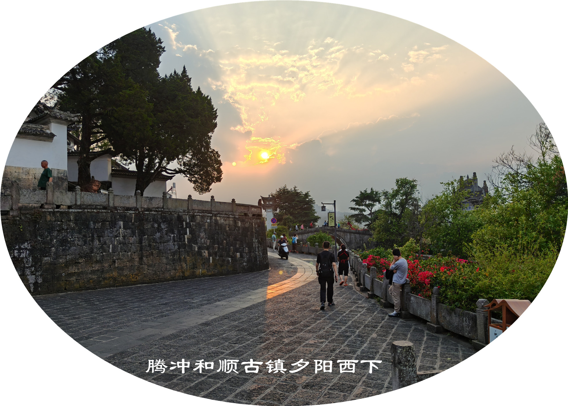 IMG20250409185400.jpg