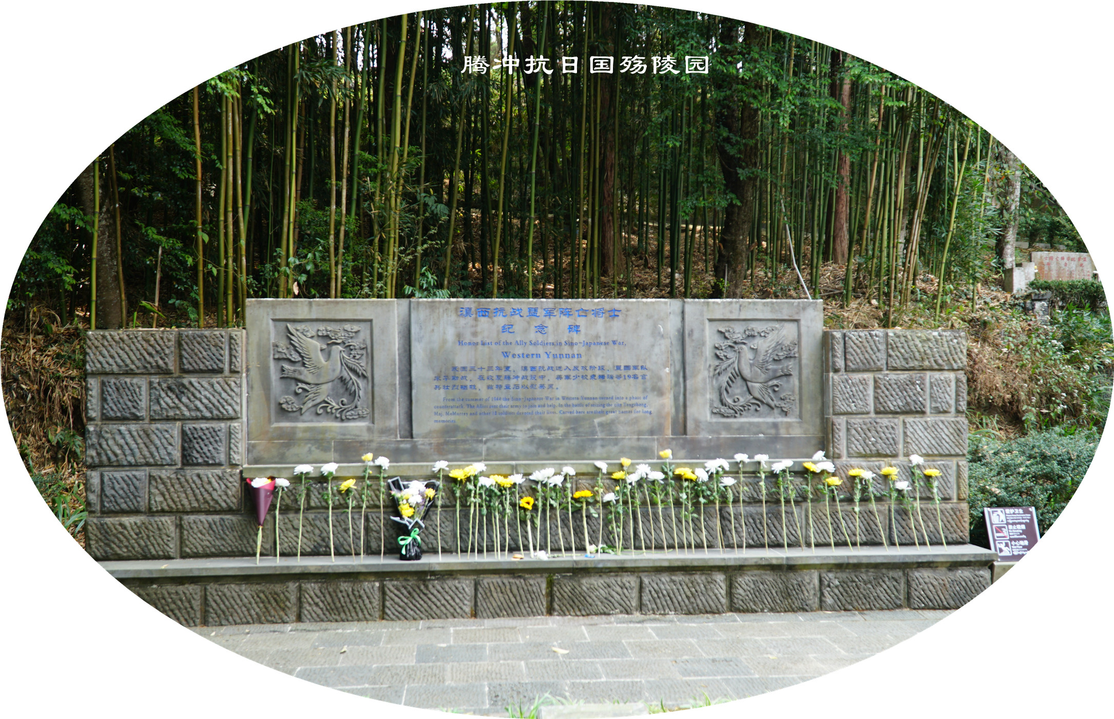 DSC06480.jpg