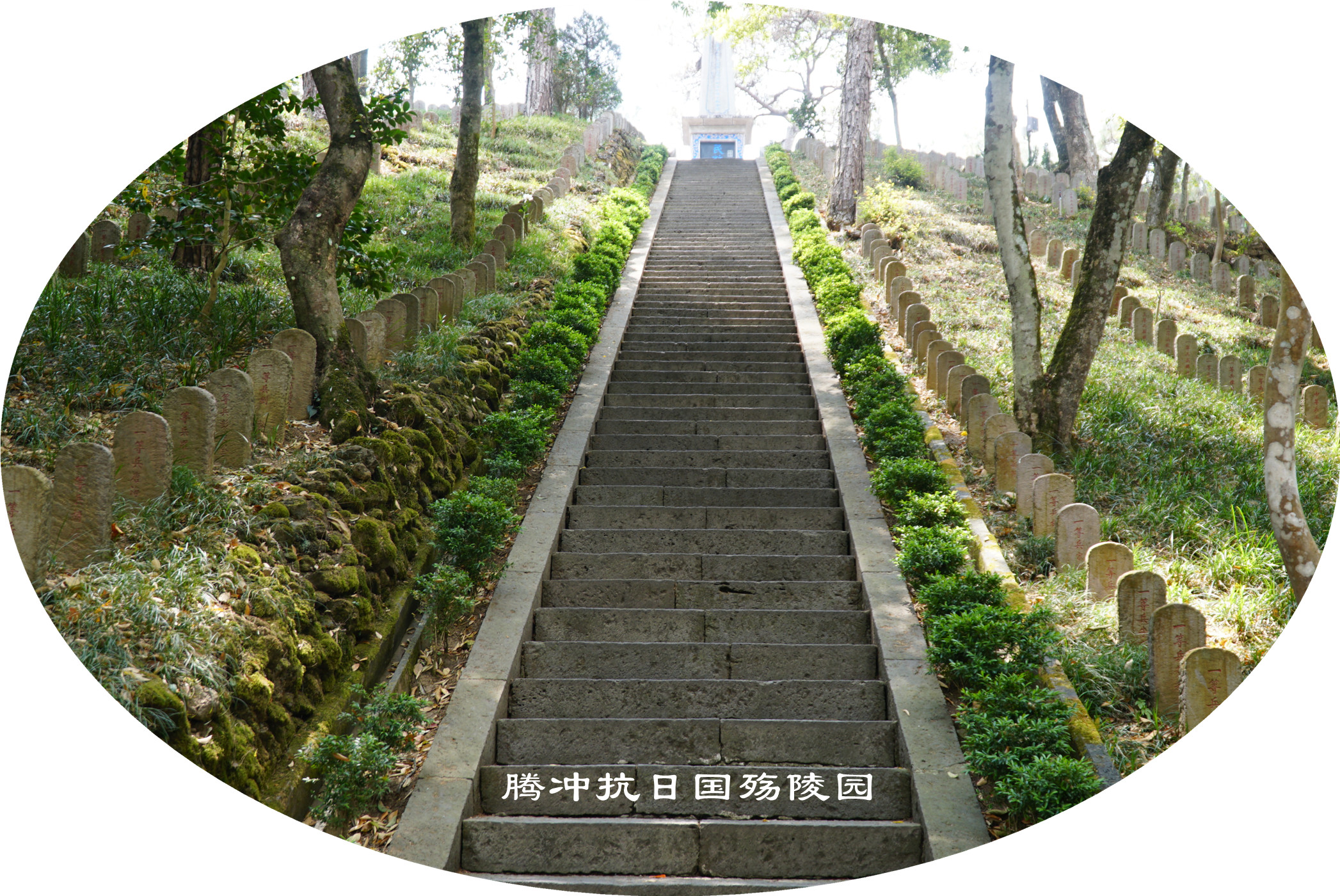 DSC06485.jpg