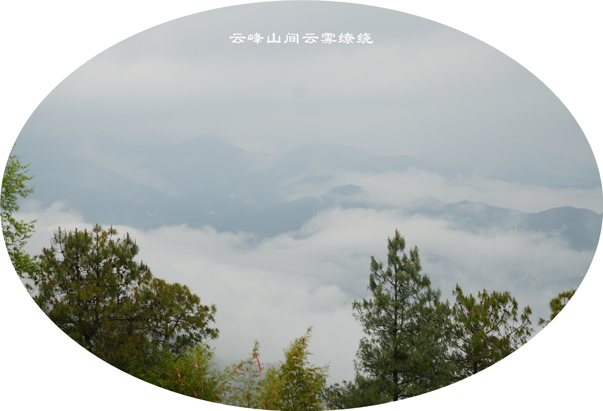 DSC06544.jpg