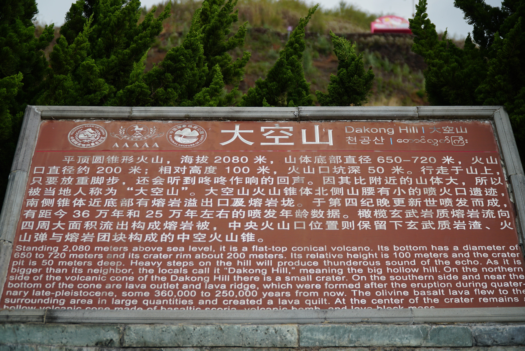 DSC06605.jpg