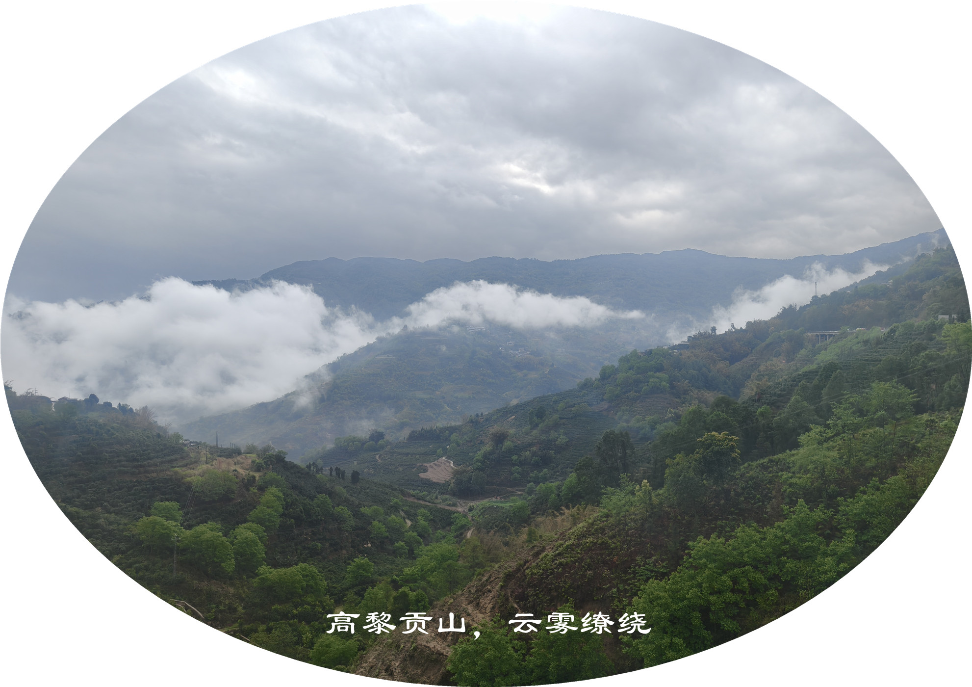 IMG20250412115616.jpg
