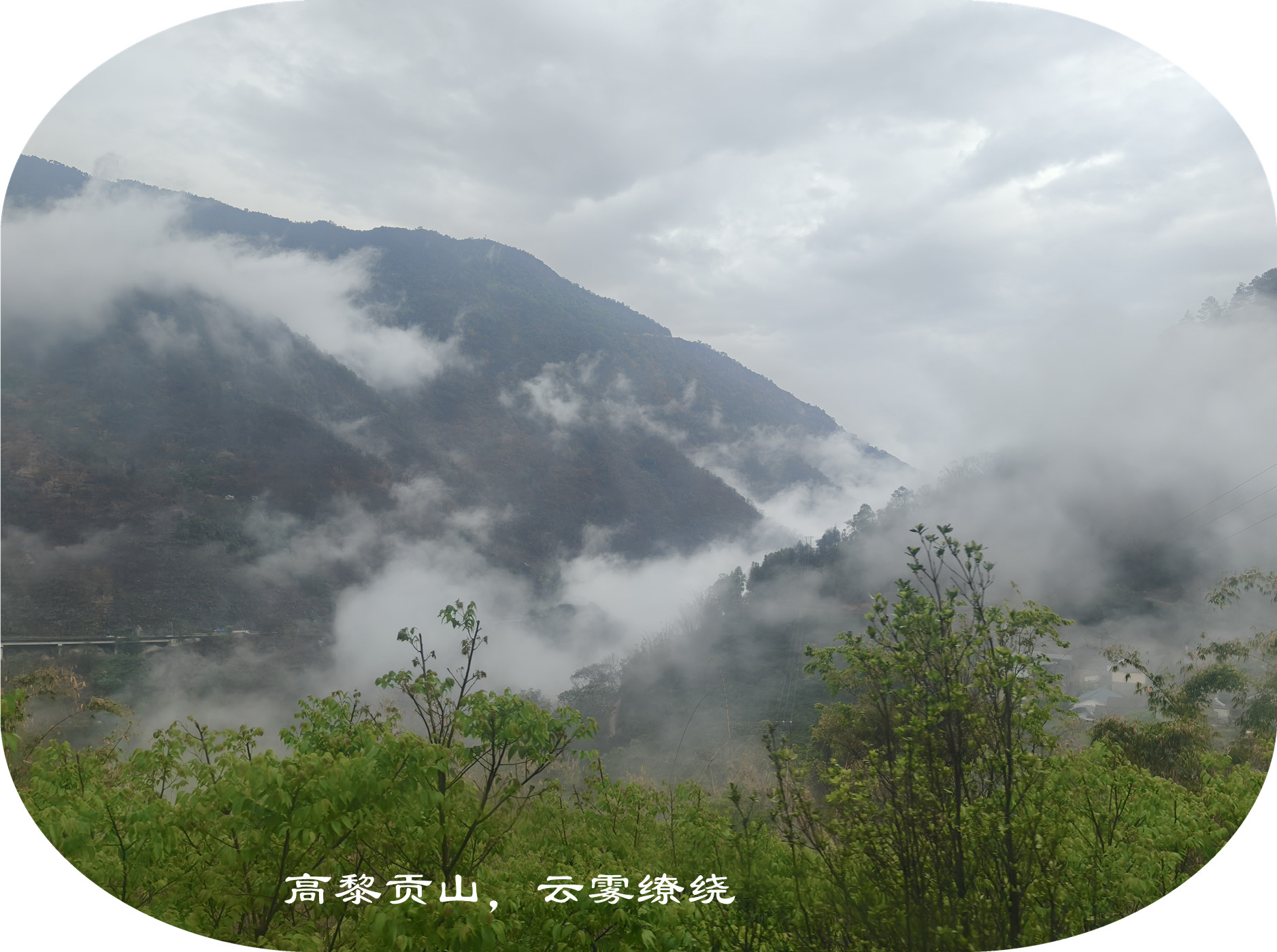 IMG20250412115849.jpg