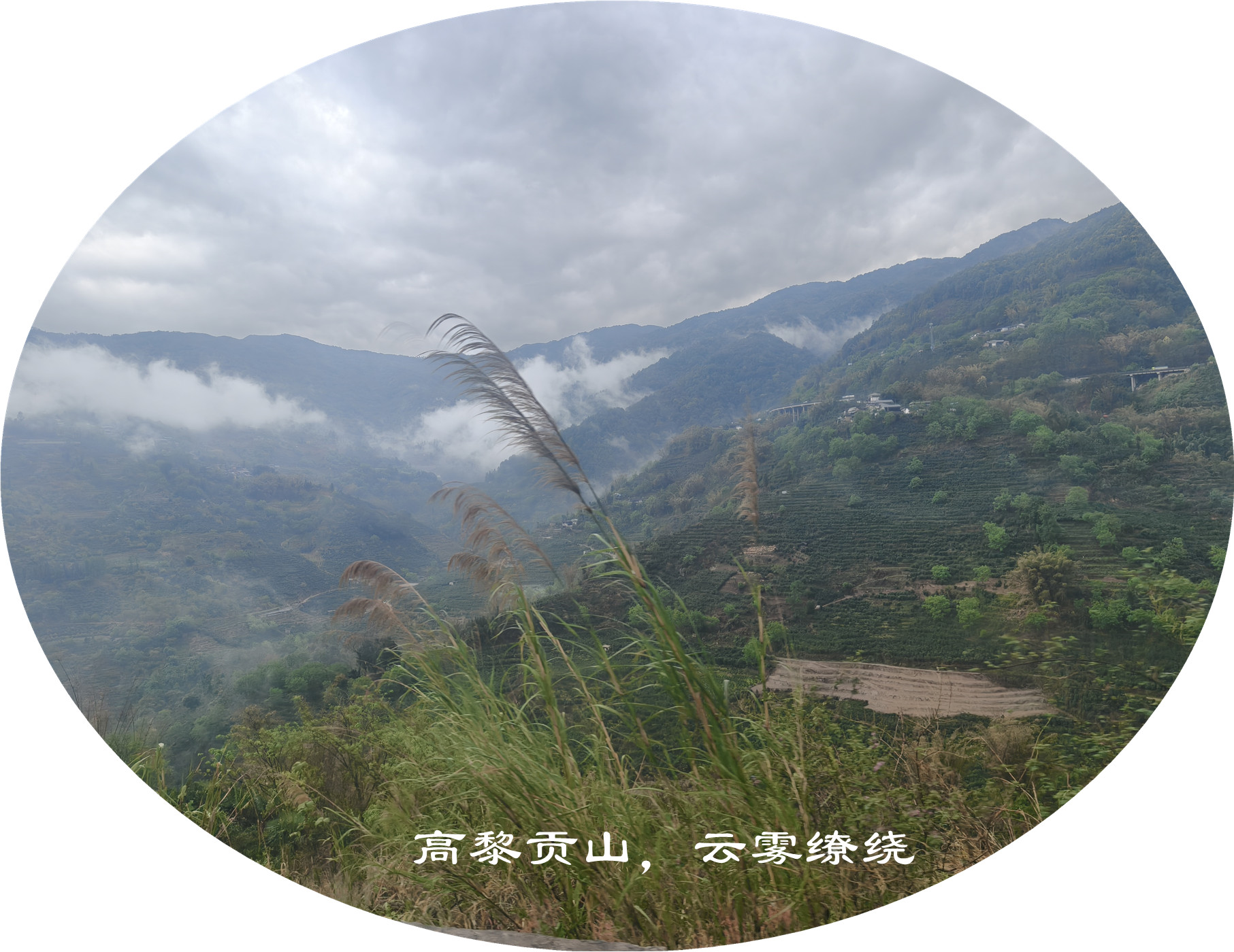 IMG20250412115657.jpg