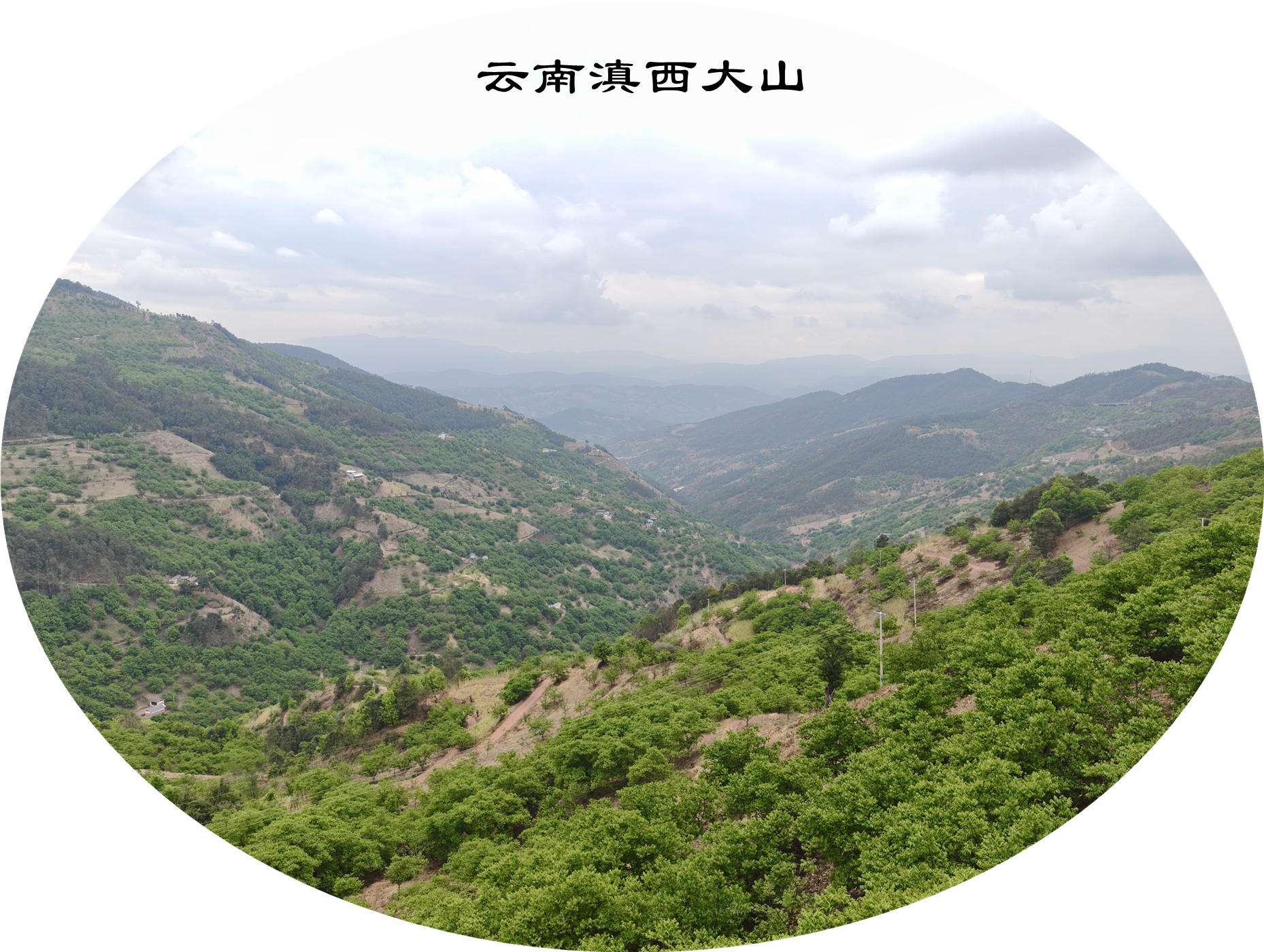 IMG20250412151513.jpg