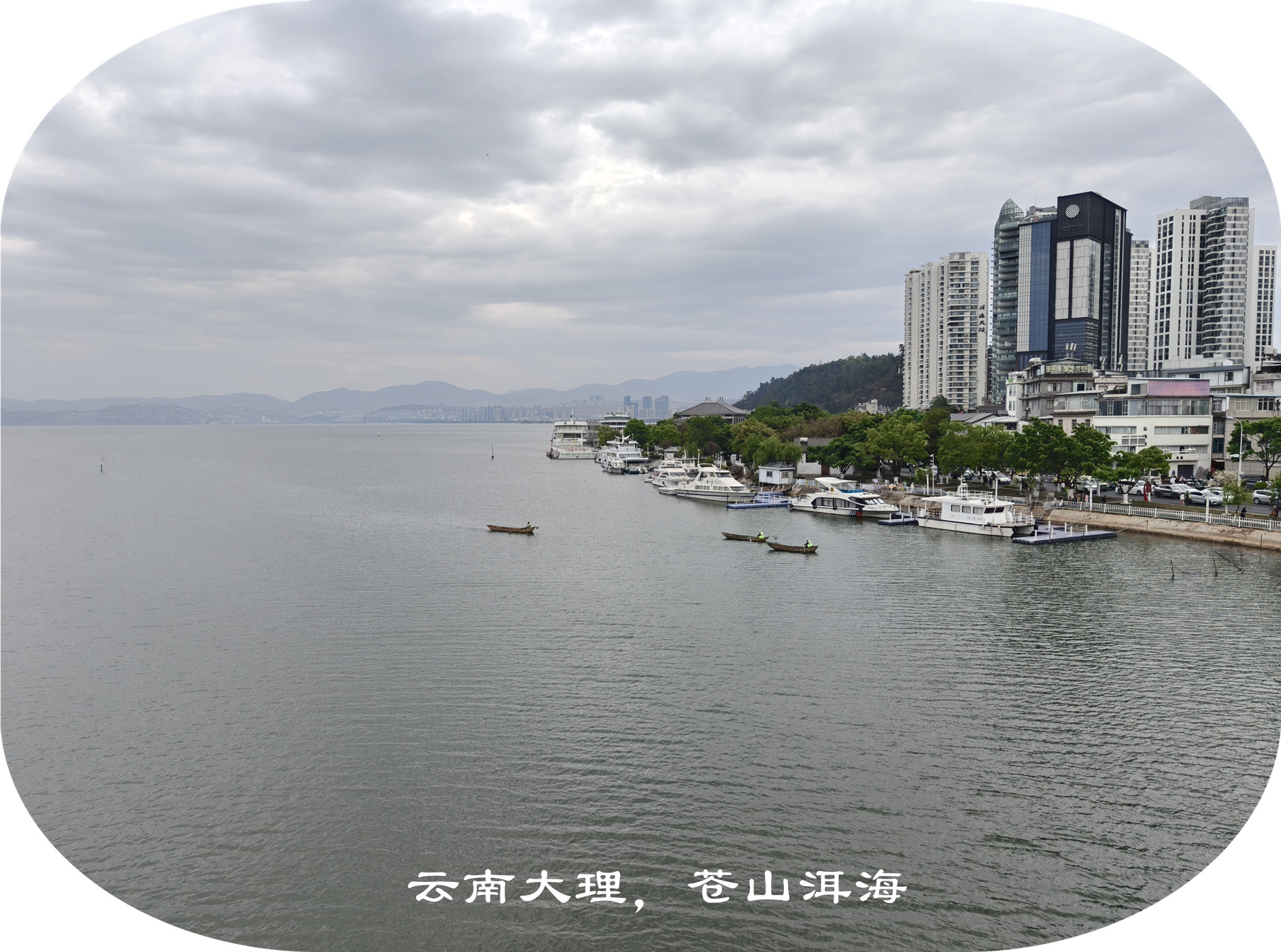 IMG20250412171531.jpg