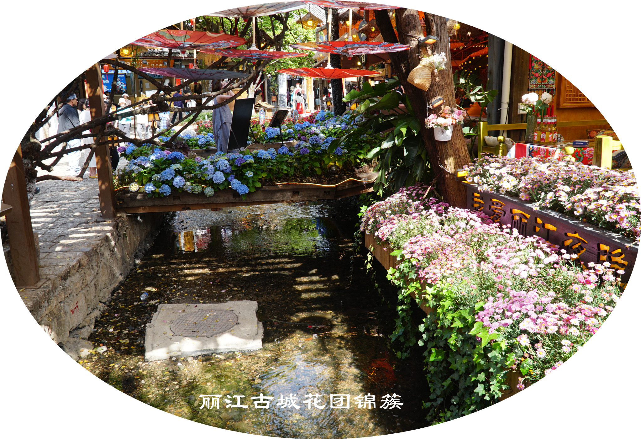DSC06696.jpg