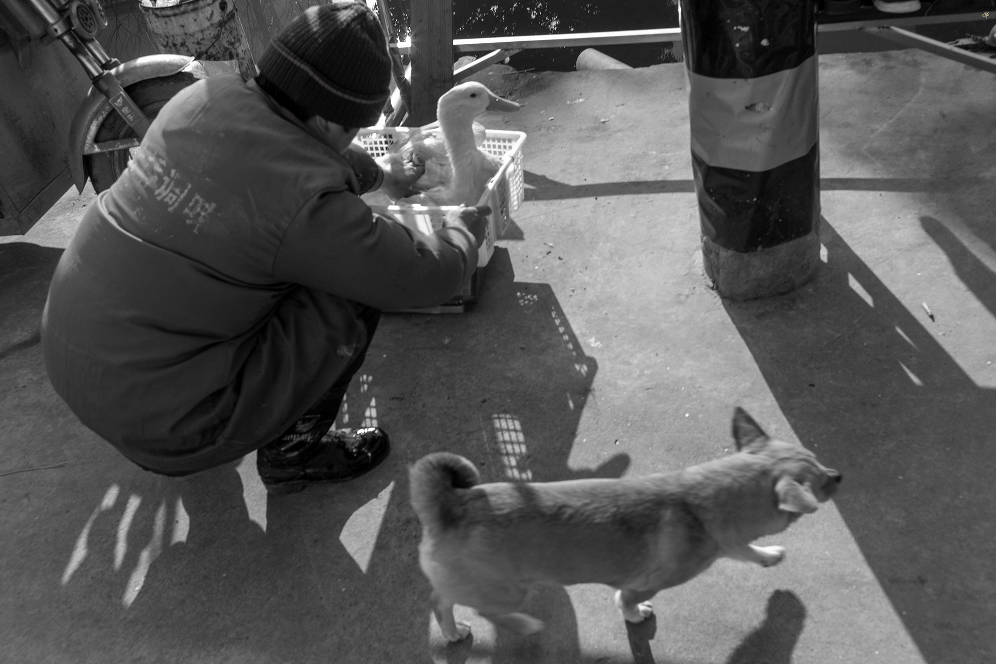 L1000741.jpg