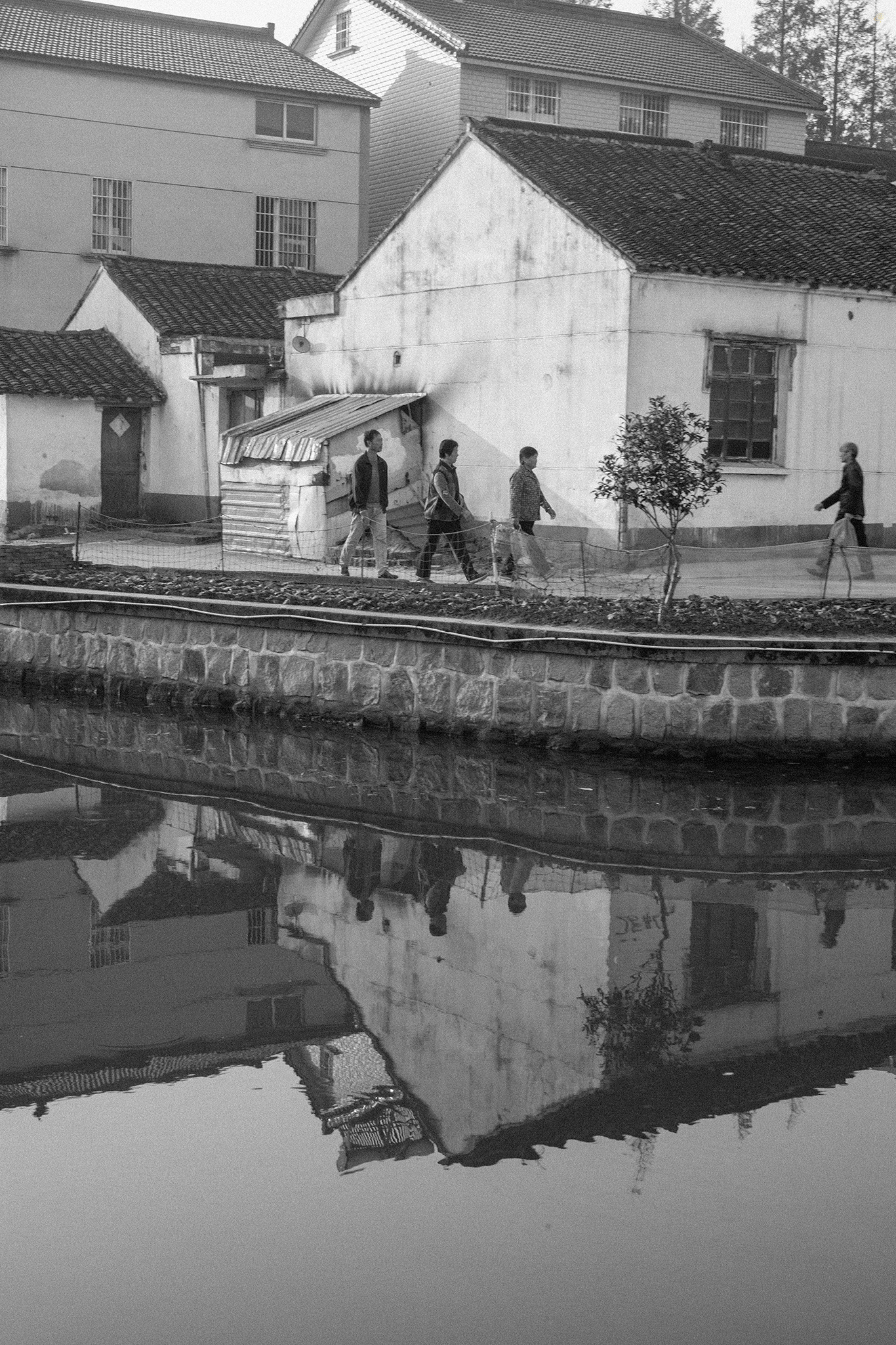 L1000898.jpg