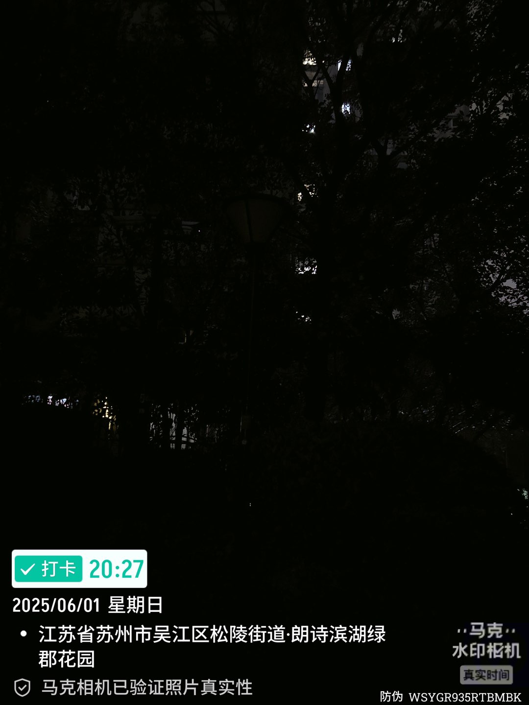 20250609231541front1_0_387721_Flwb6D37zqzhRvXNDLtpG0VbAZXu.jpg