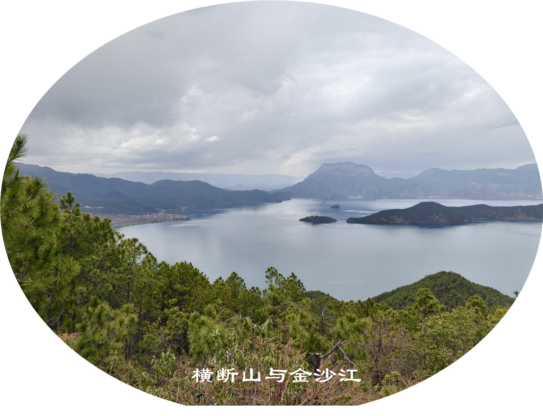 IMG20250414143138.jpg