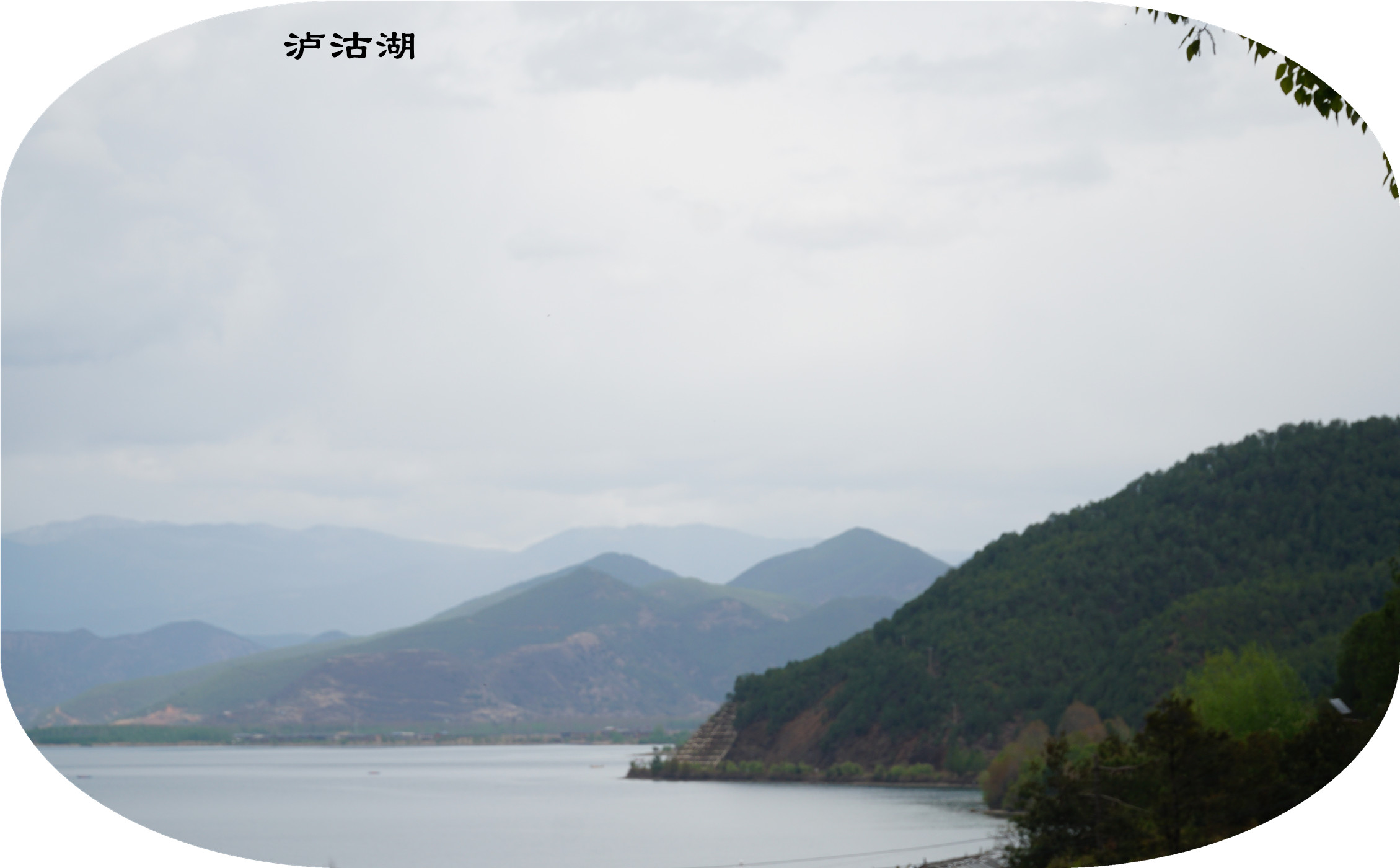 DSC06700.jpg