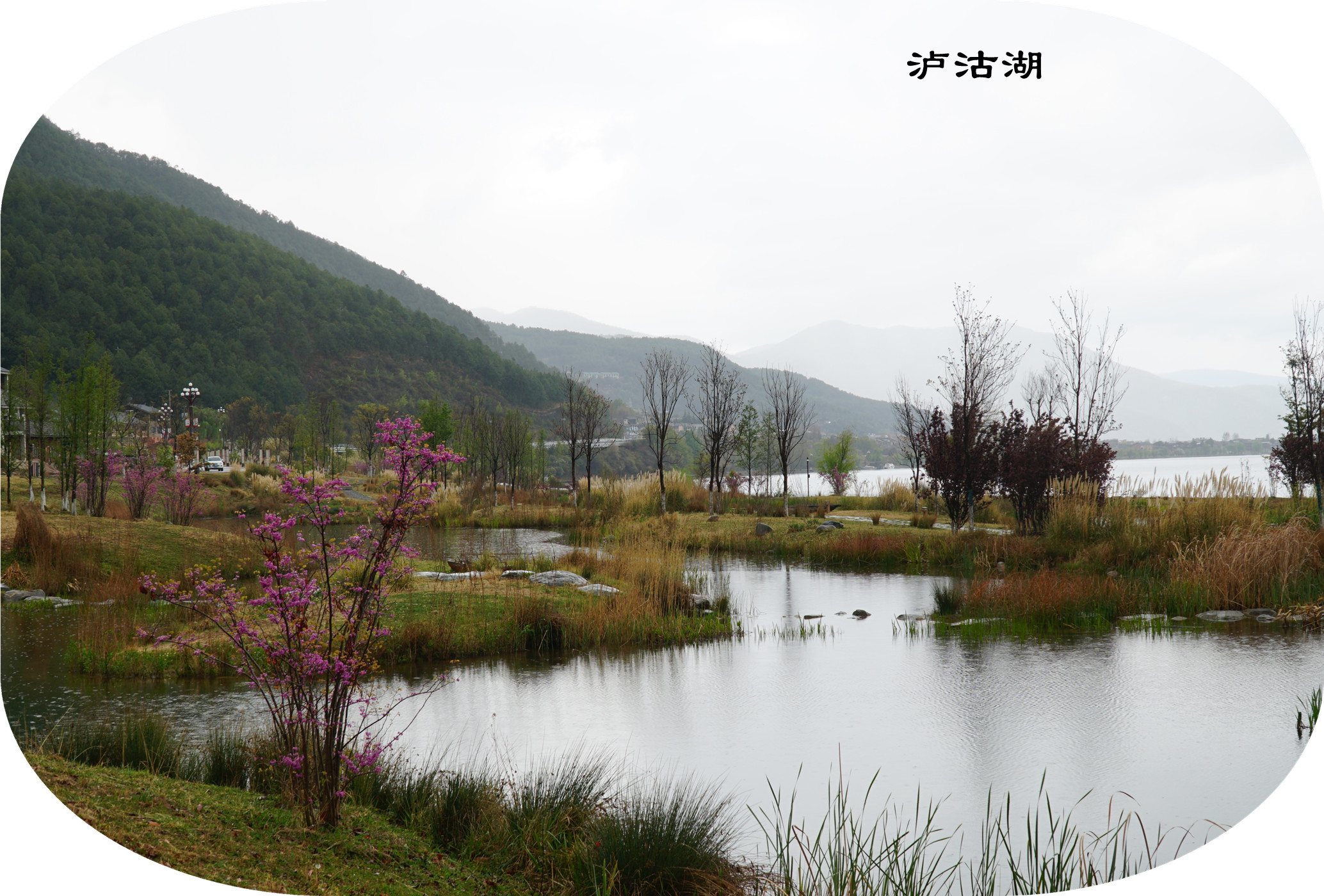 DSC06705.jpg