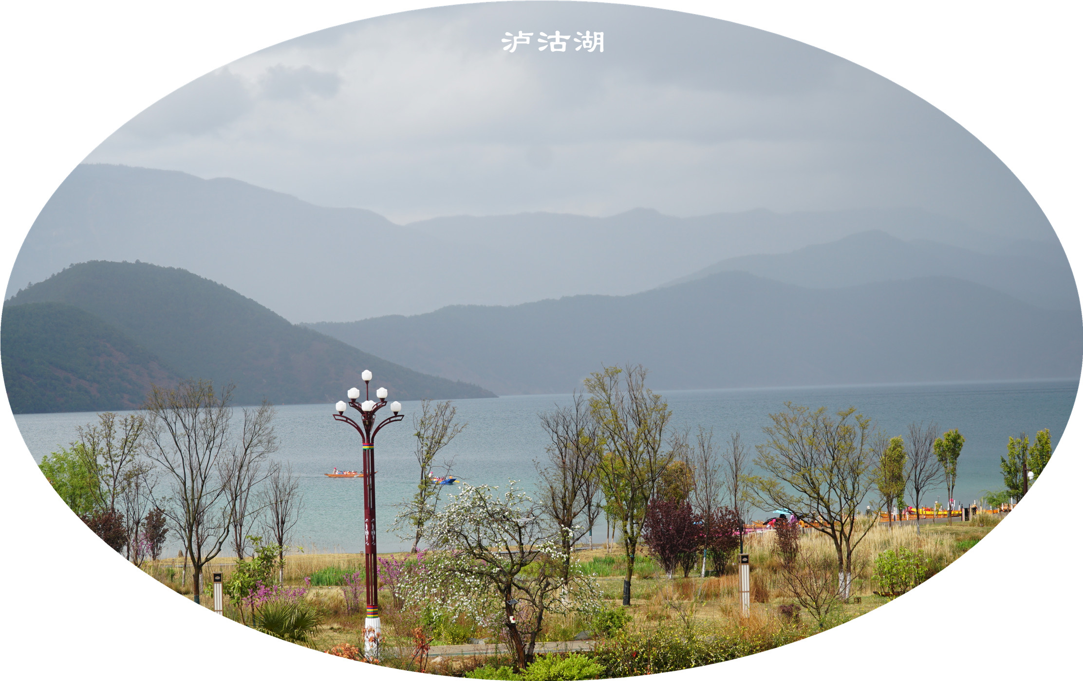 DSC06709.jpg