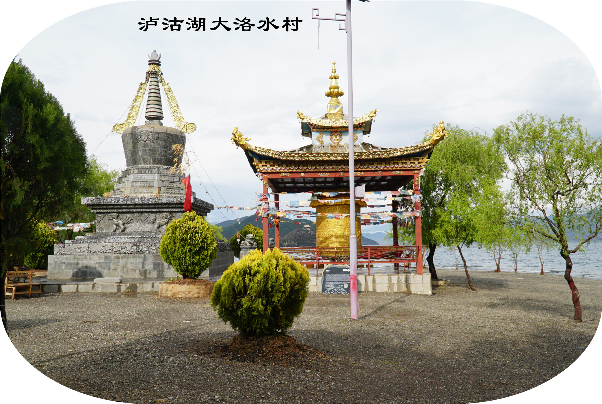 DSC06726.jpg