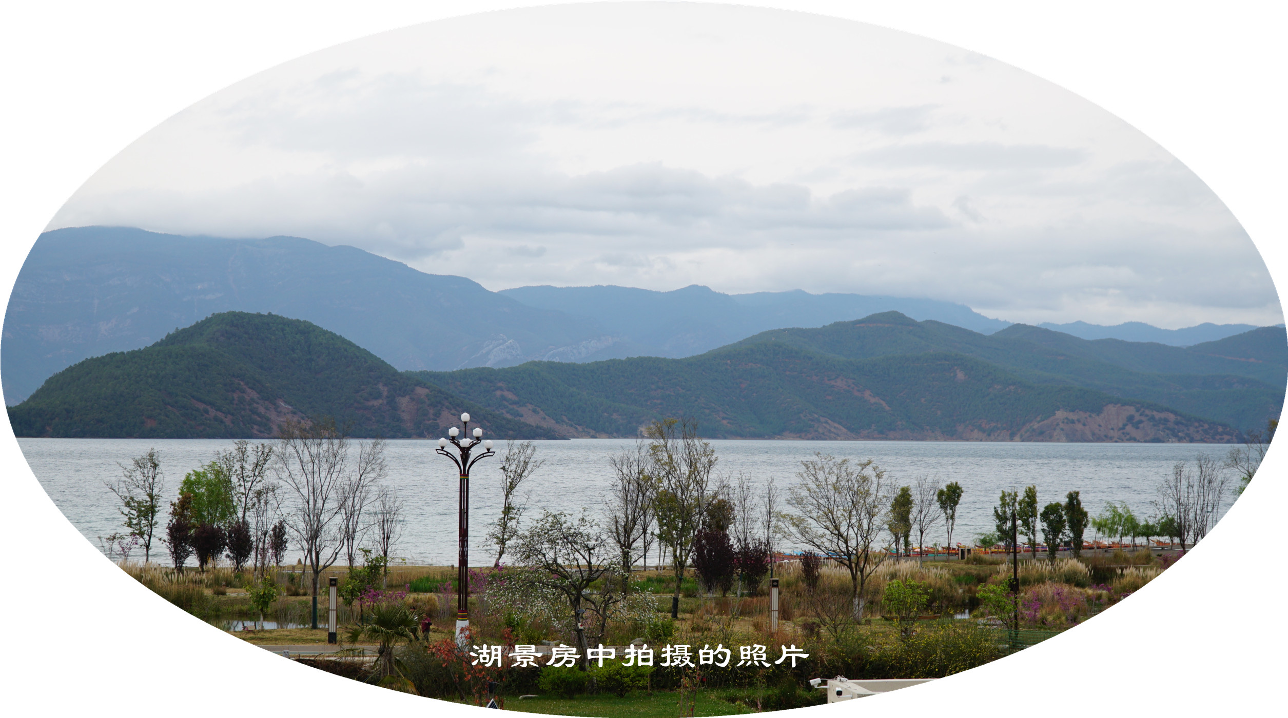 DSC06738.jpg