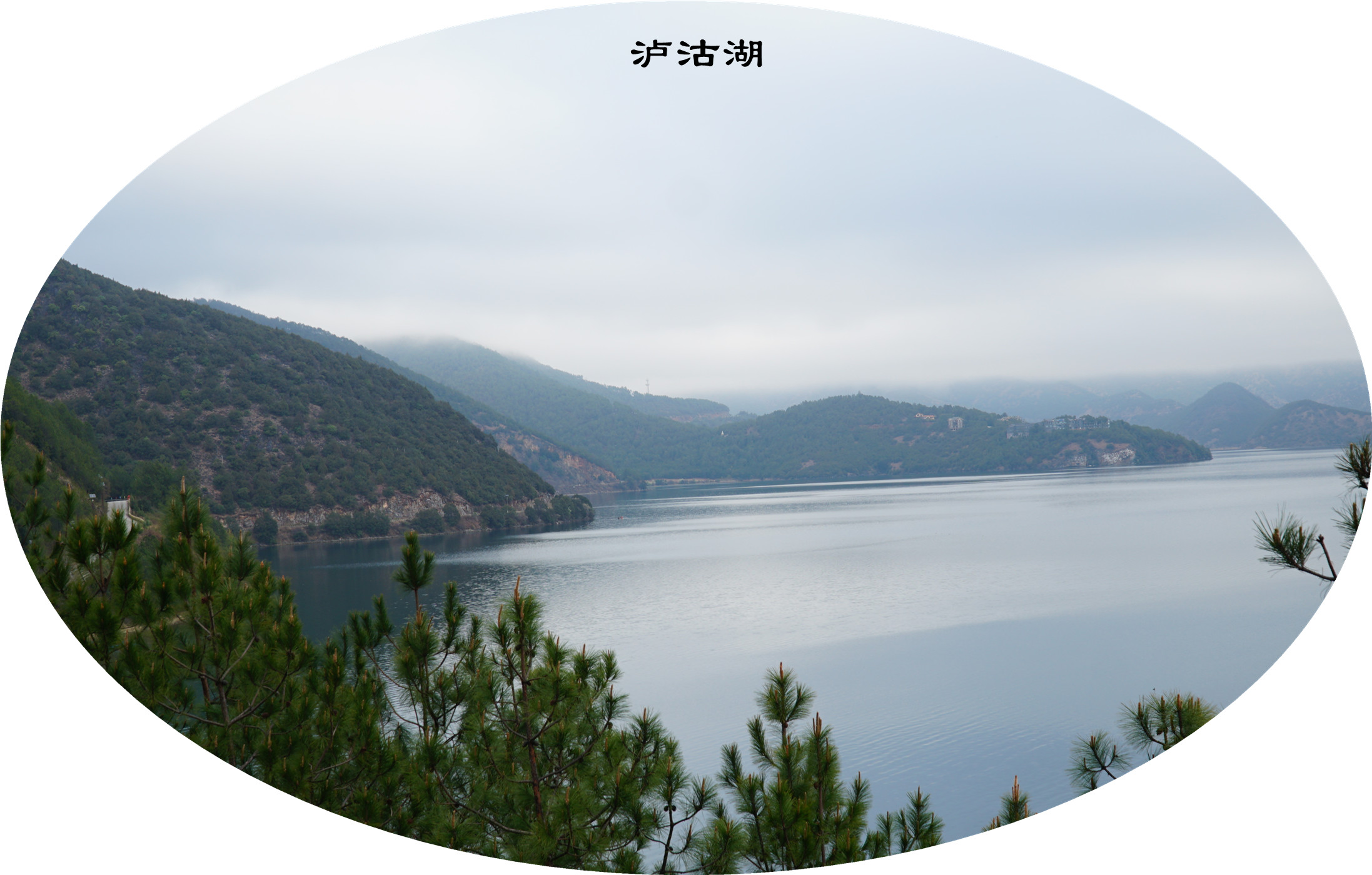 DSC06744.jpg
