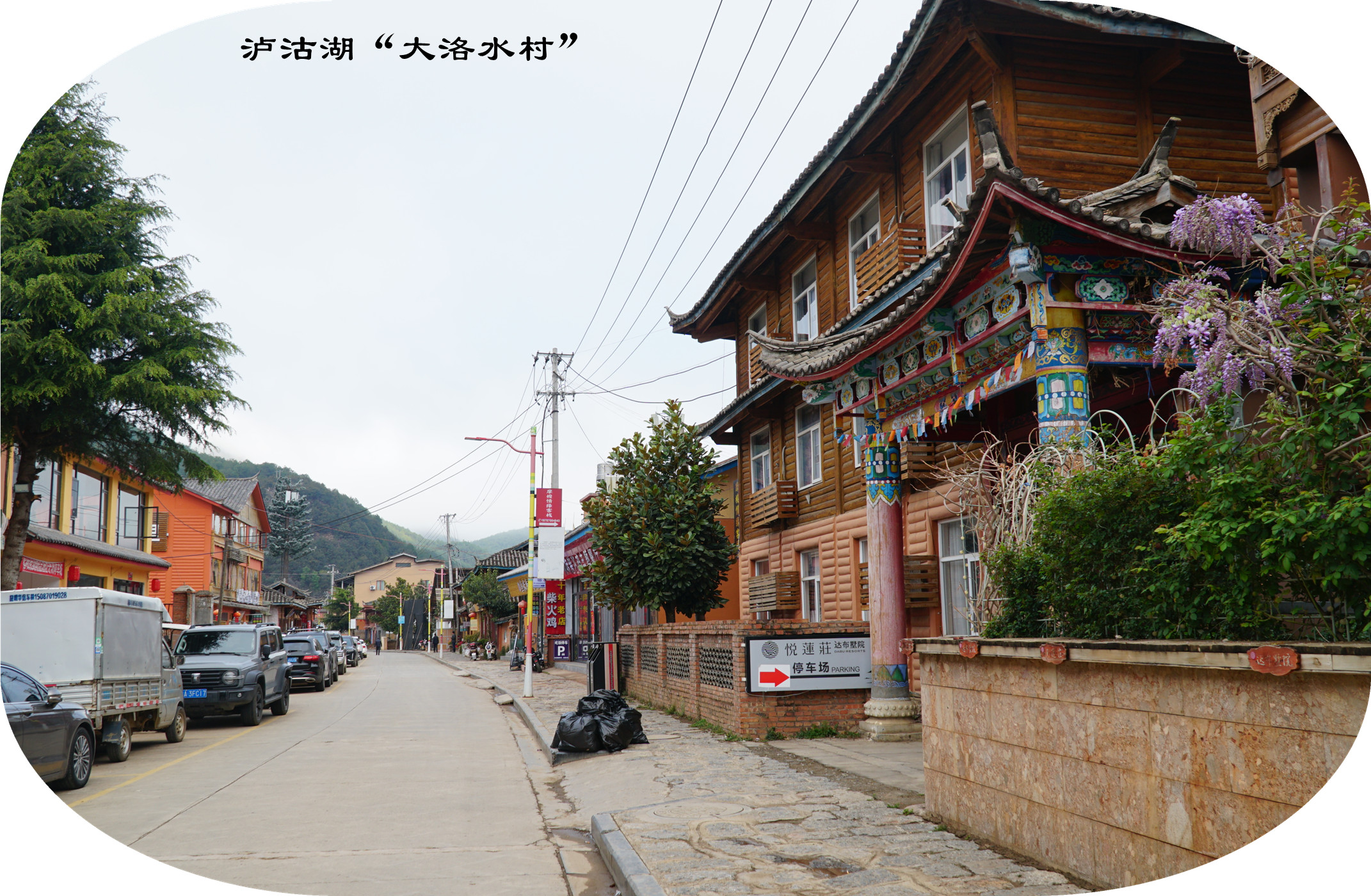 DSC06742.jpg
