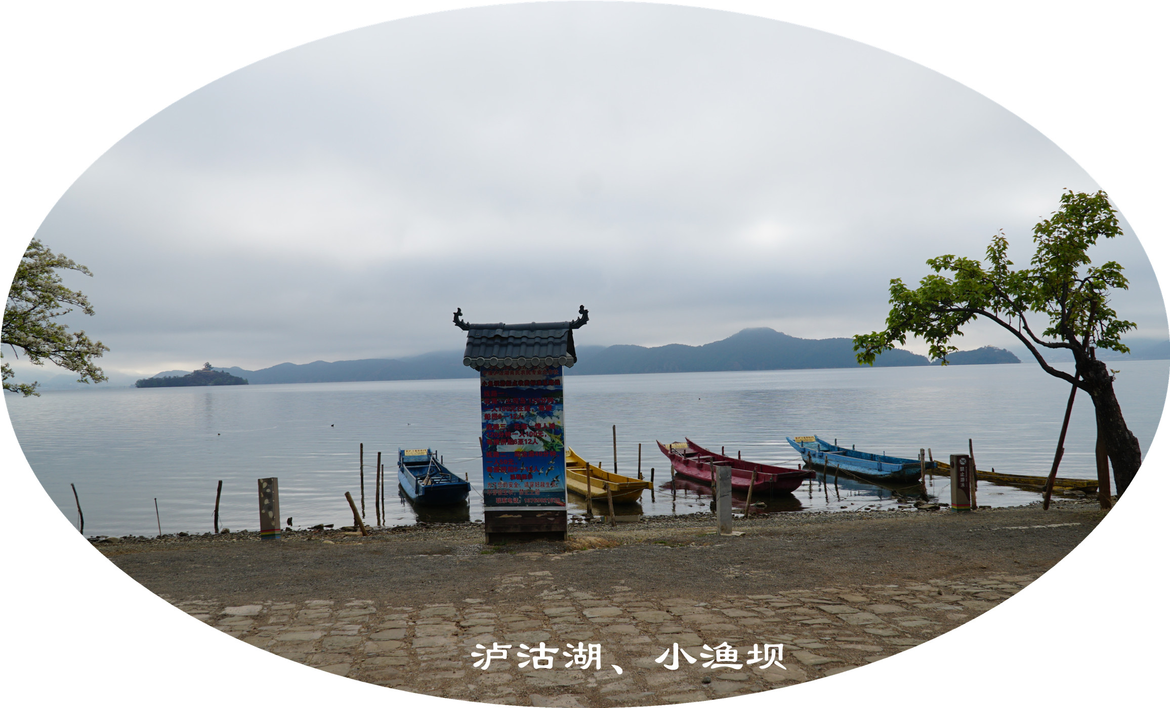 DSC06746.jpg