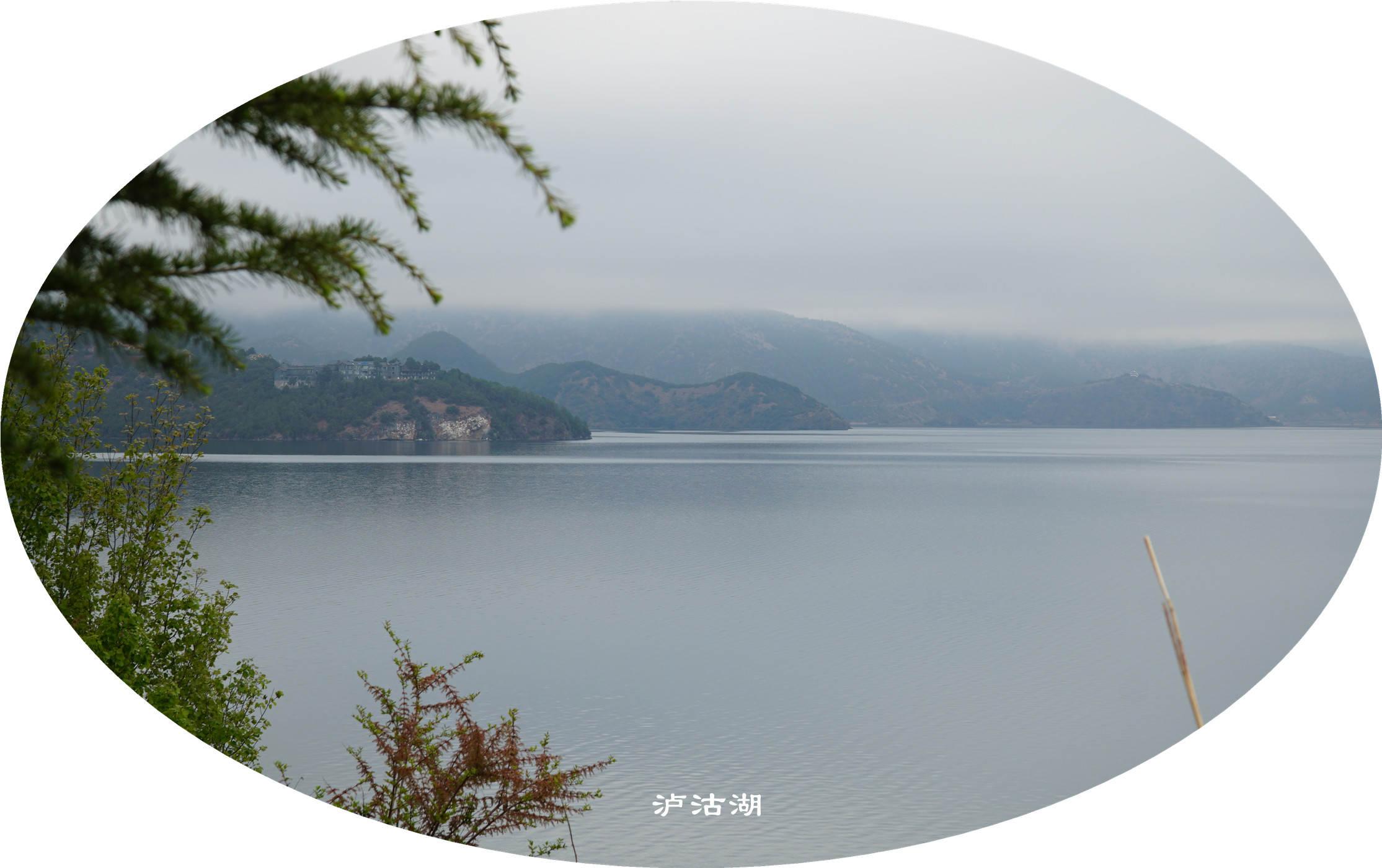 DSC06747.jpg