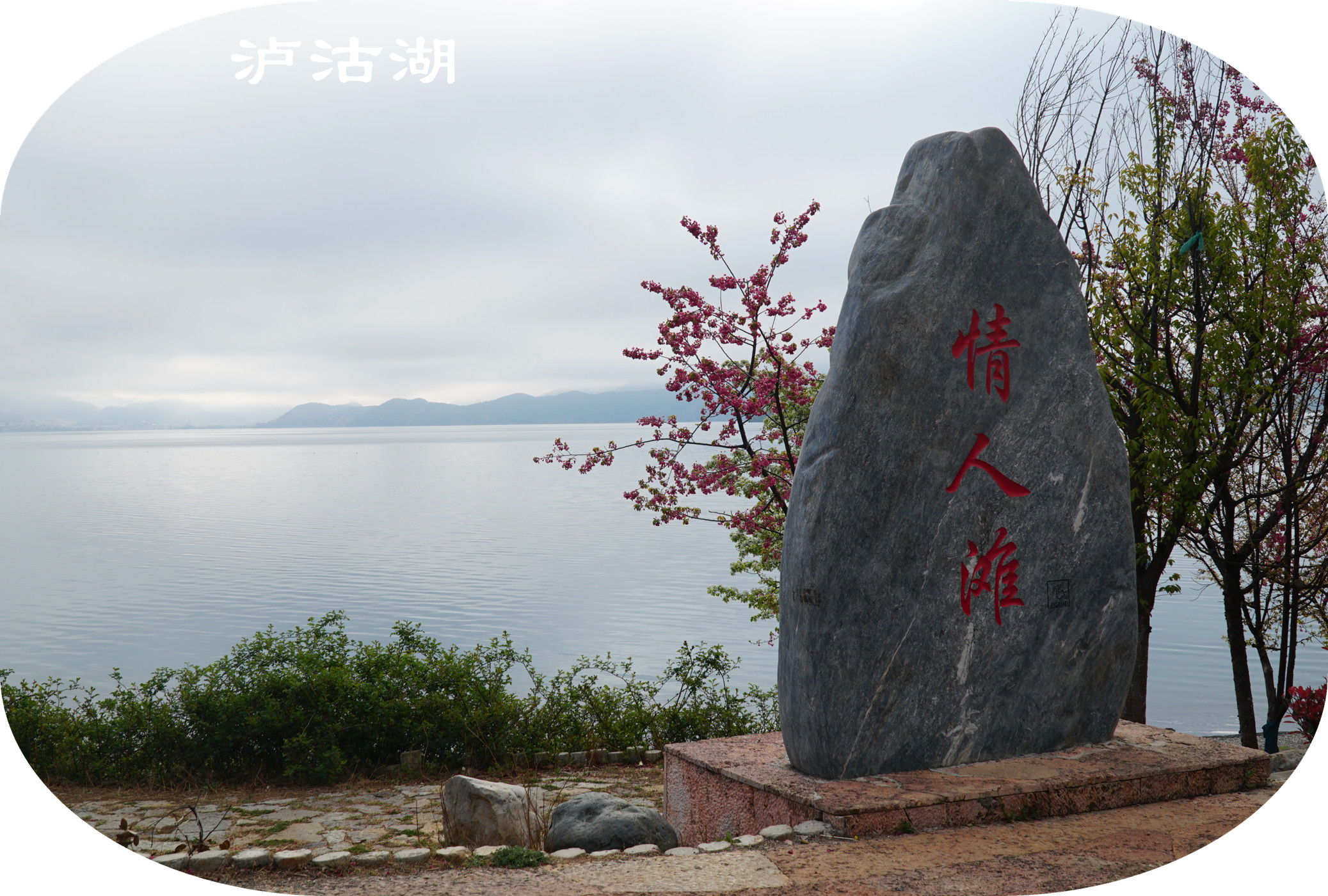 DSC06752.jpg