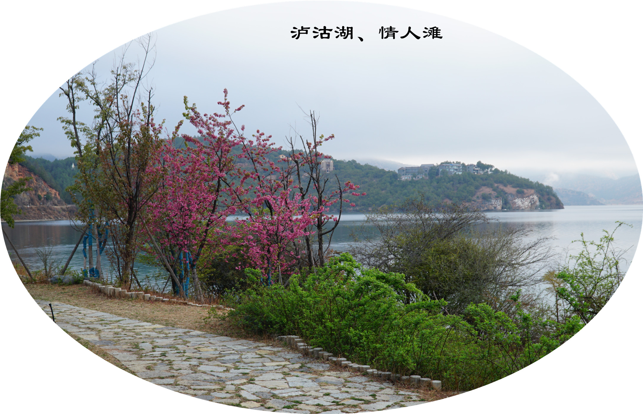 DSC06753.jpg