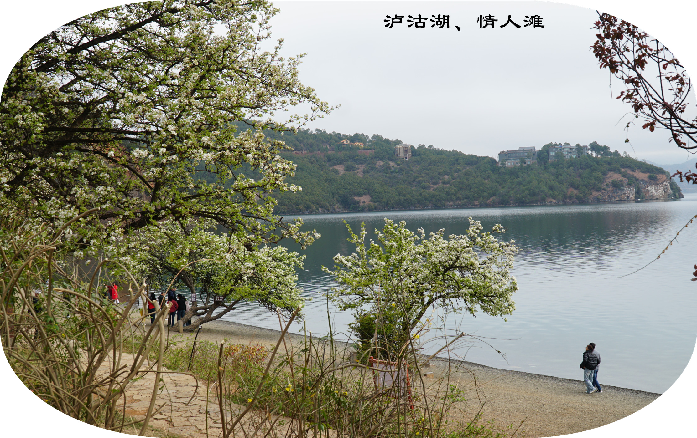 DSC06755.jpg
