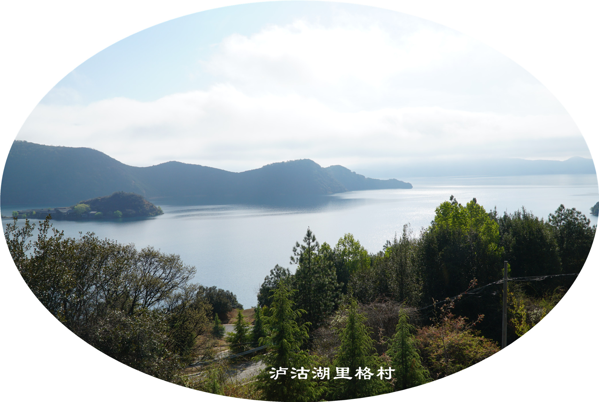 DSC06767.jpg