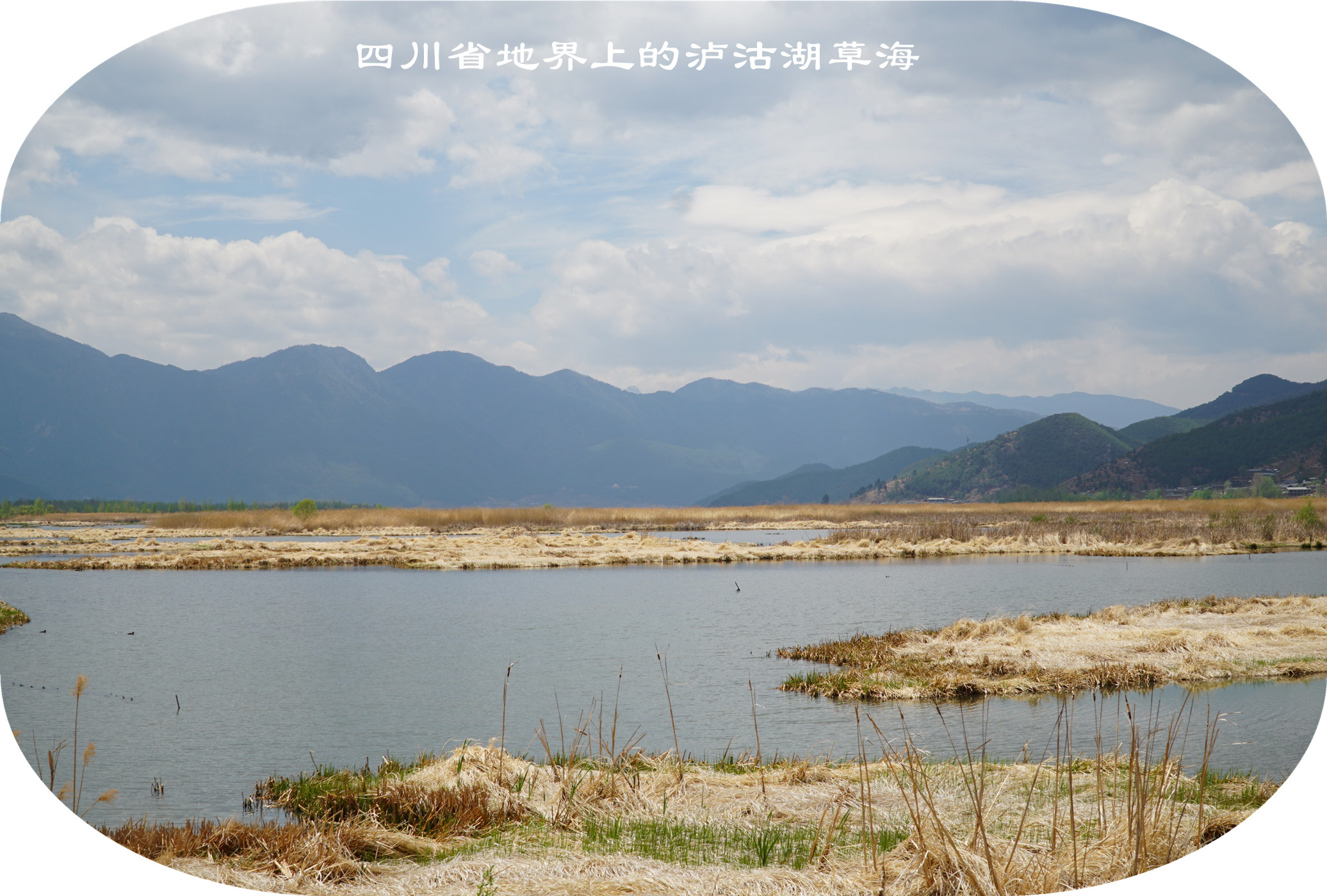 DSC06833.jpg