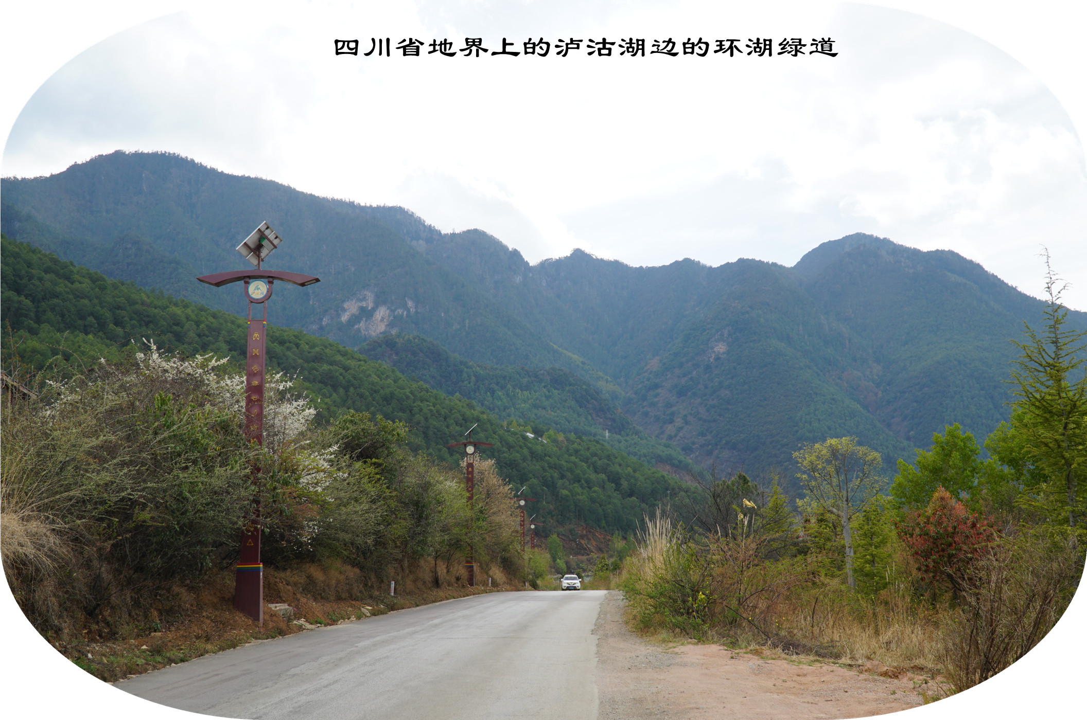 DSC06842.jpg