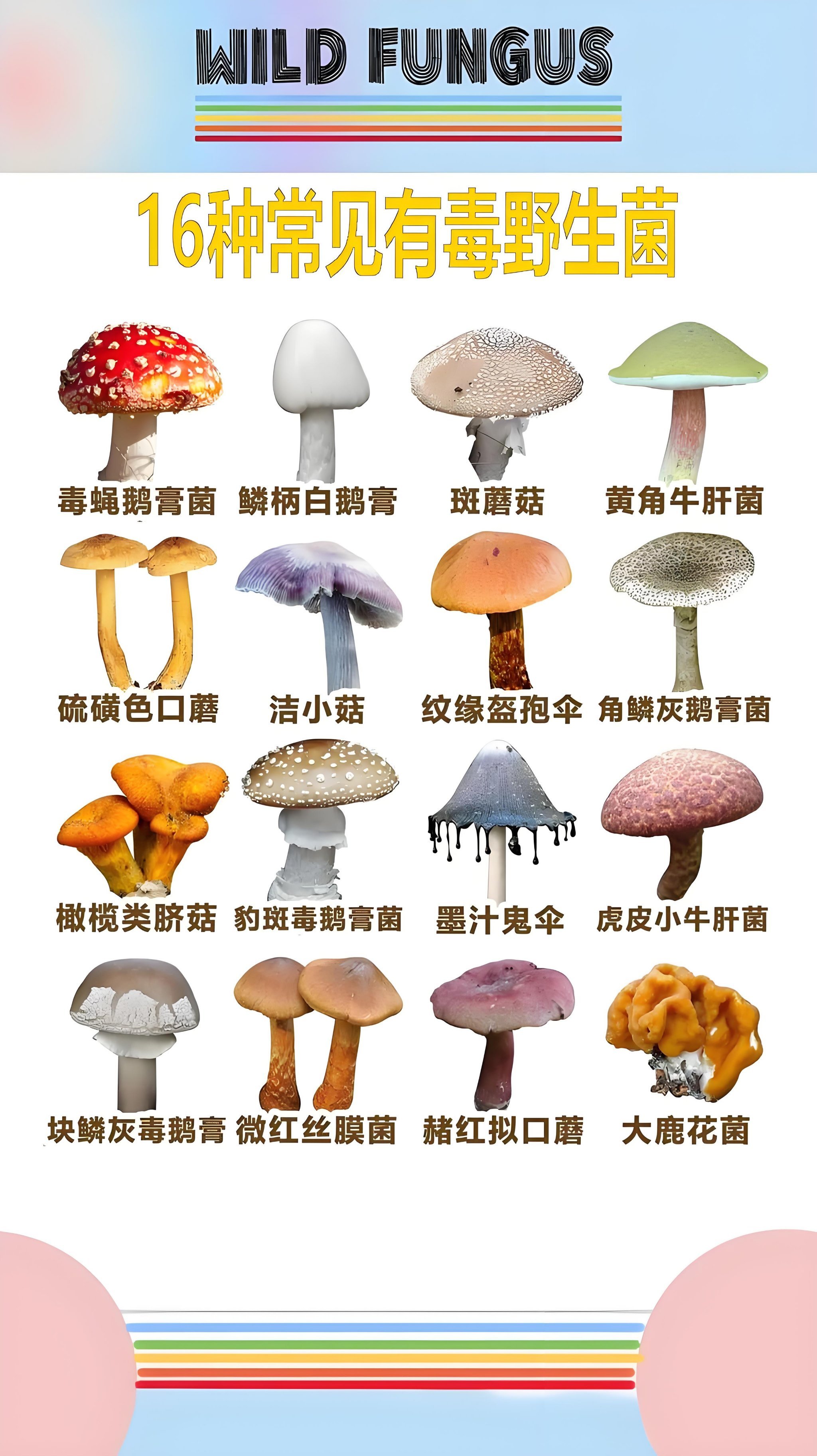 2SMsXeraNynIM4lAP2OD4TcmTn62QVAqsIZ6nuYxE8MfTriCKpxpgIdnu8K14oaGY0q73sB2DyQcgmKUxZFQtw.jpg