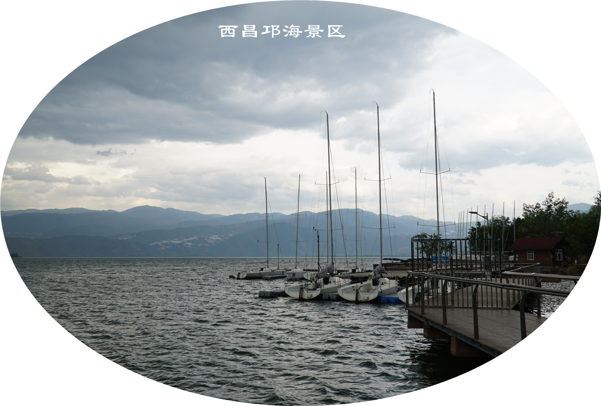 DSC06885.jpg