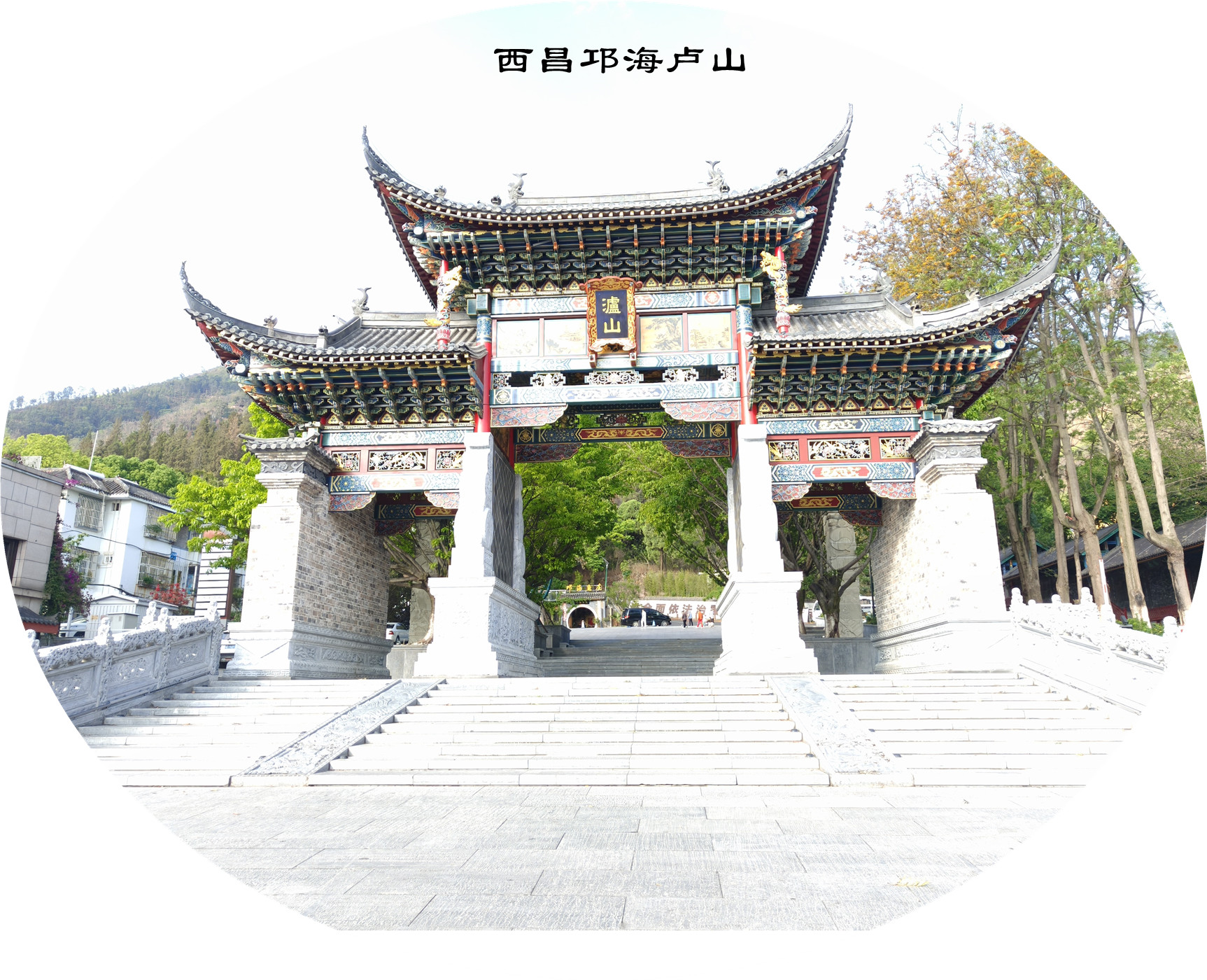 IMG20250419084413.jpg