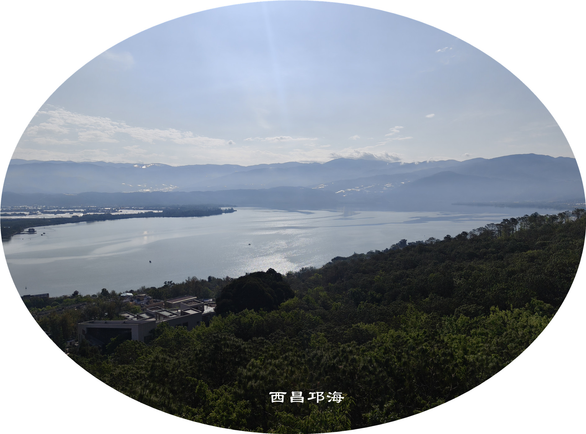 IMG20250419091743.jpg